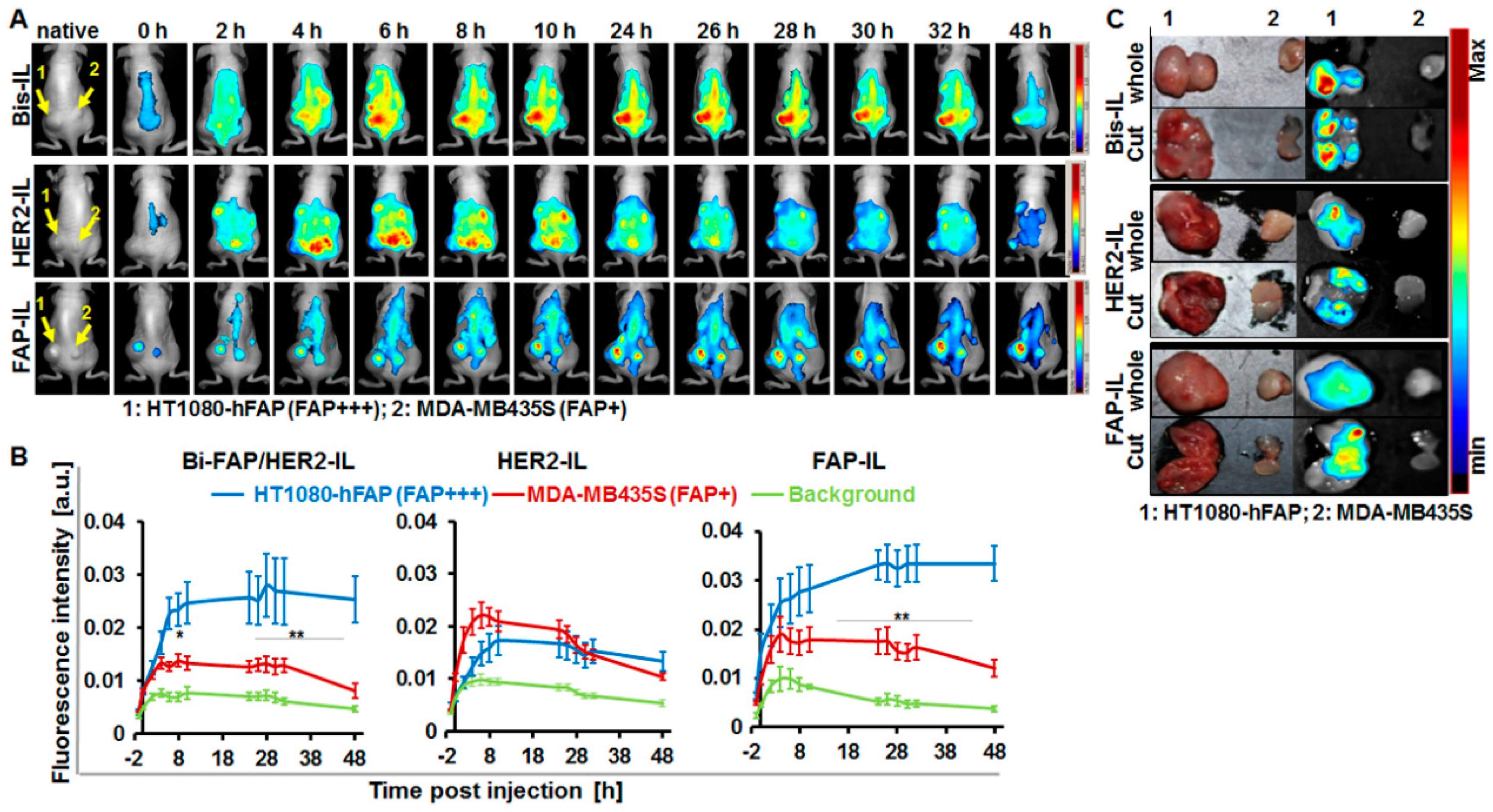 Pharmaceutics 12 00972 g007 Pharmaceutics 12 00972 g007
