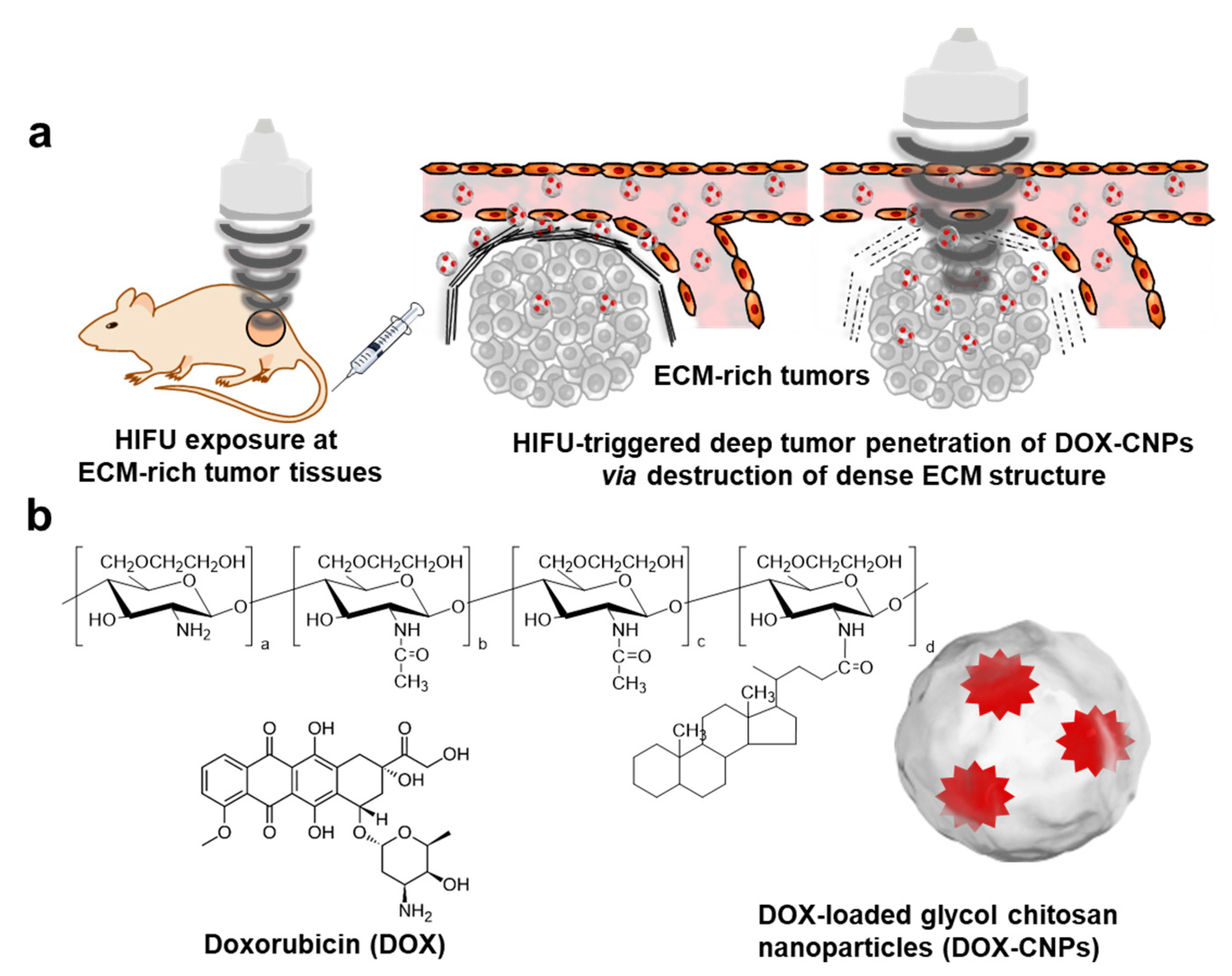 Pharmaceutics 12 00974 g001 Pharmaceutics 12 00974 g001