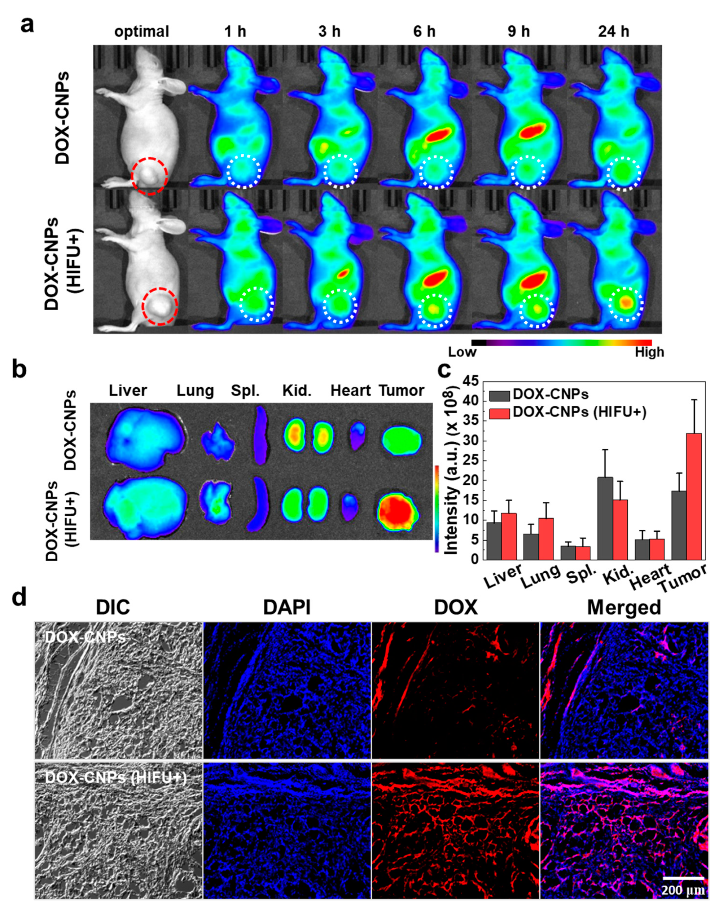Pharmaceutics 12 00974 g004 Pharmaceutics 12 00974 g004