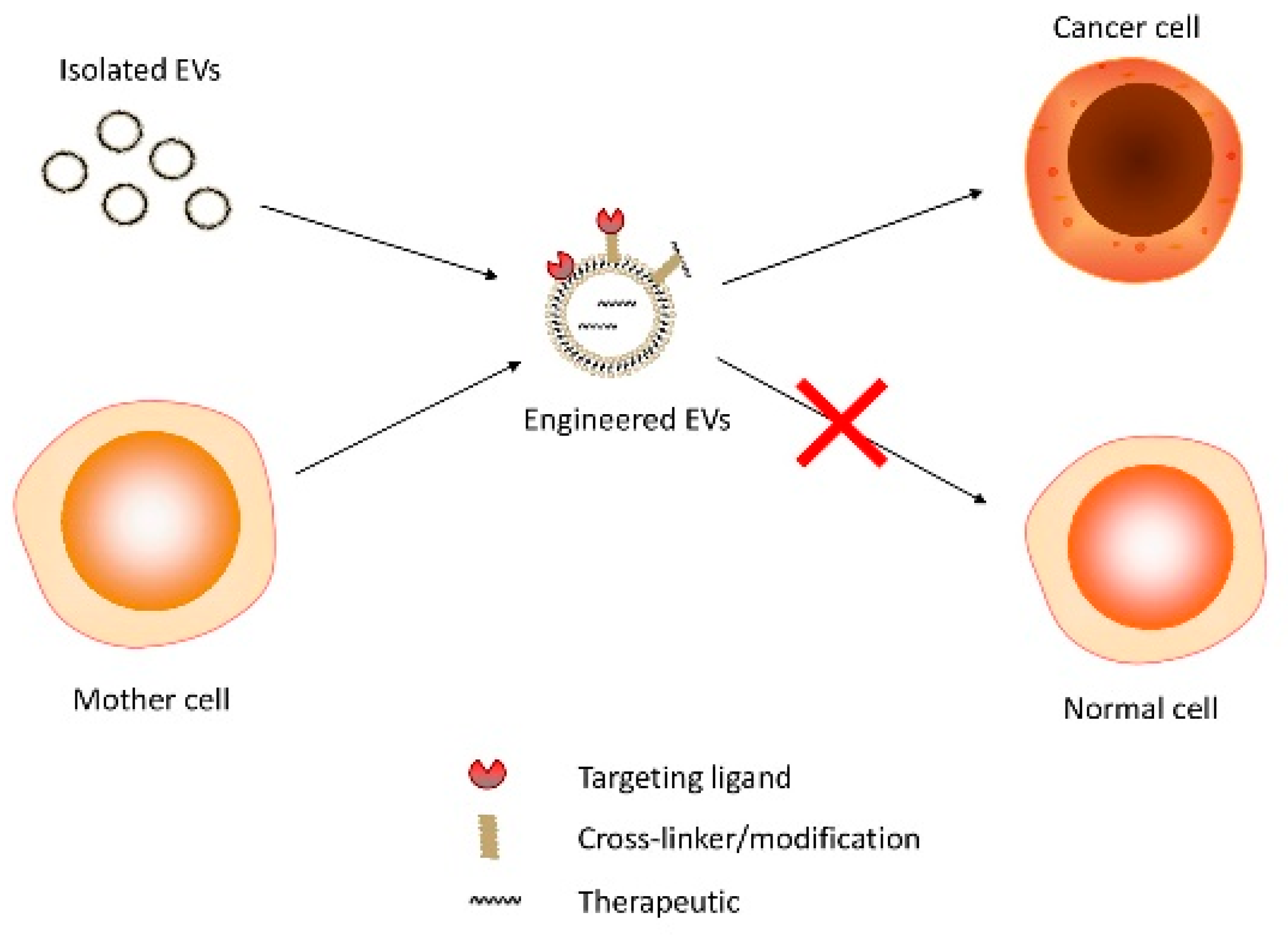 Pharmaceutics 12 00980 g001
