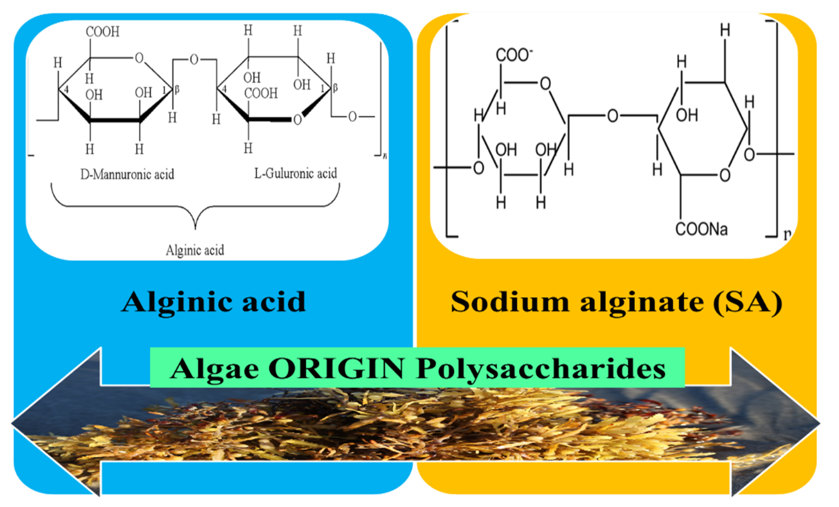 Pharmaceutics 12 00983 g006 Pharmaceutics 12 00983 g006
