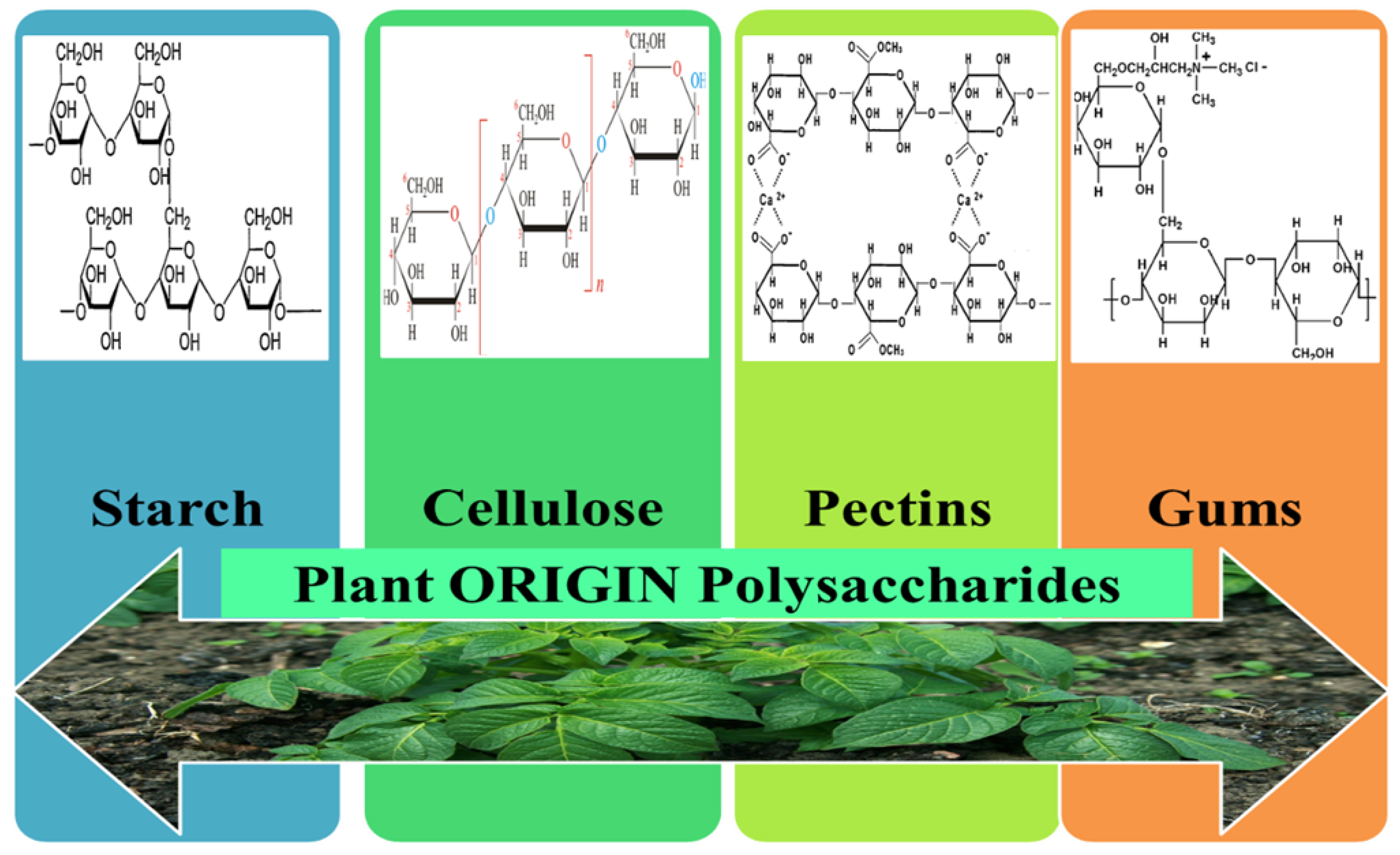 Pharmaceutics 12 00983 g007 Pharmaceutics 12 00983 g007
