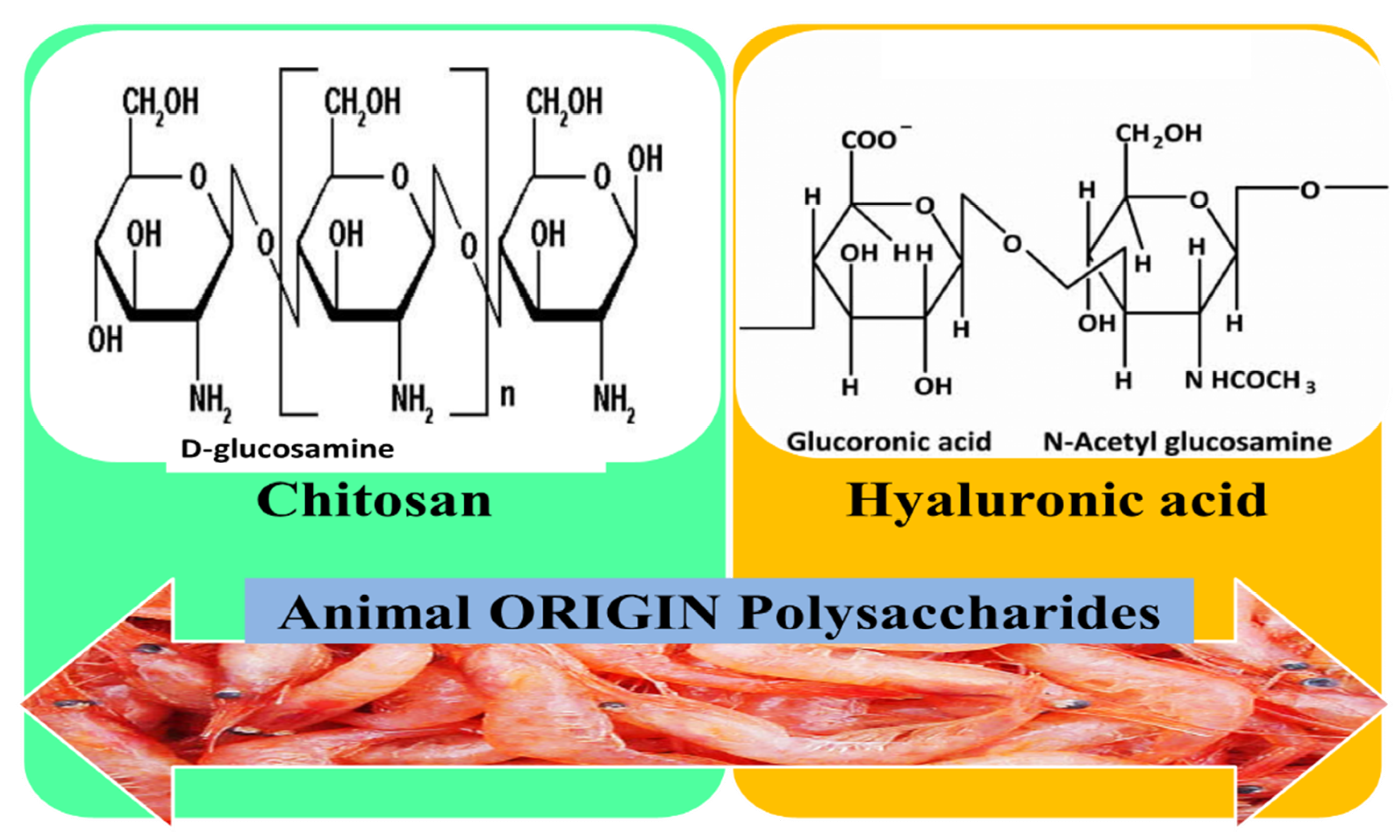 Pharmaceutics 12 00983 g008 Pharmaceutics 12 00983 g008