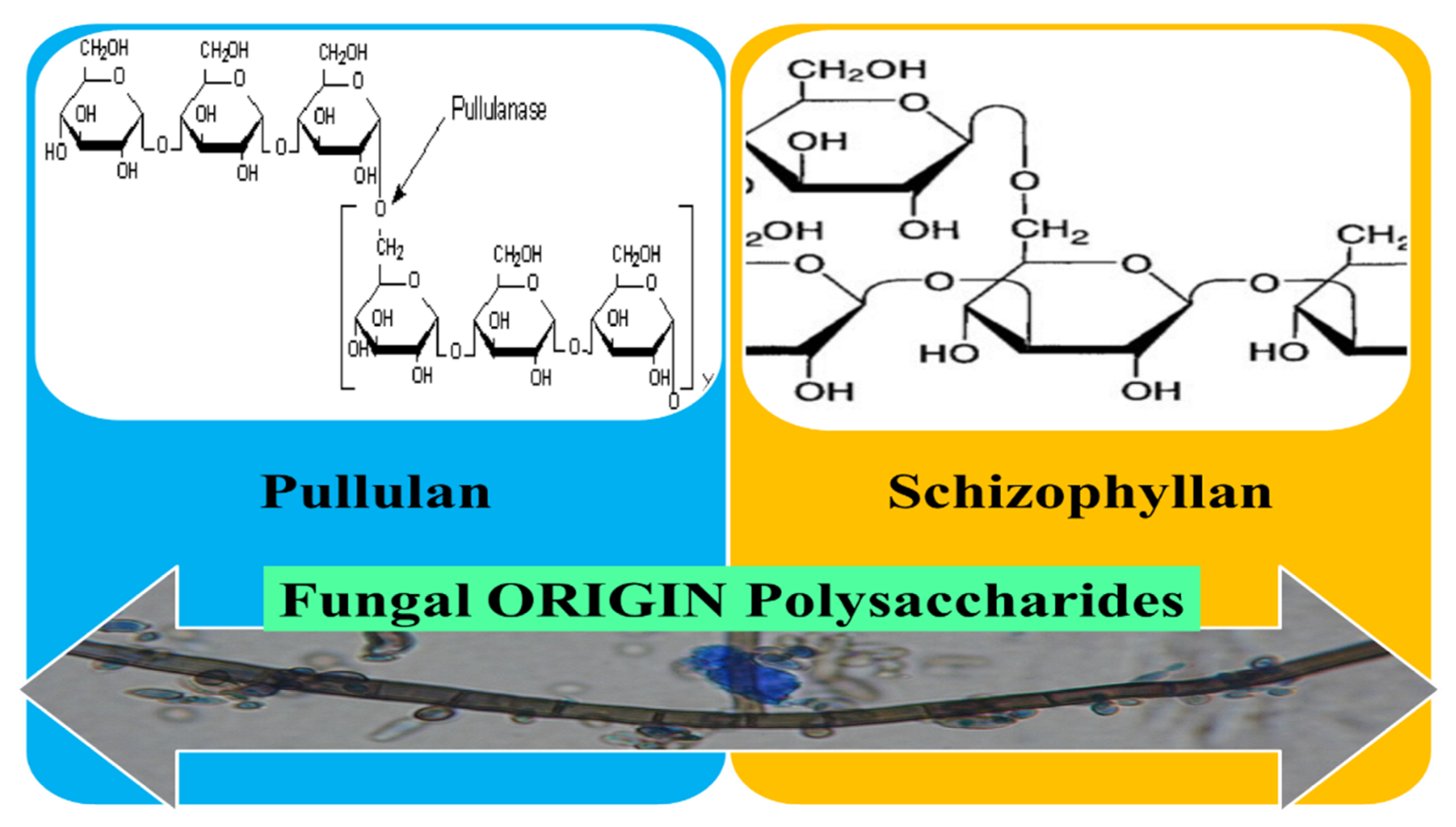 Pharmaceutics 12 00983 g009 Pharmaceutics 12 00983 g009