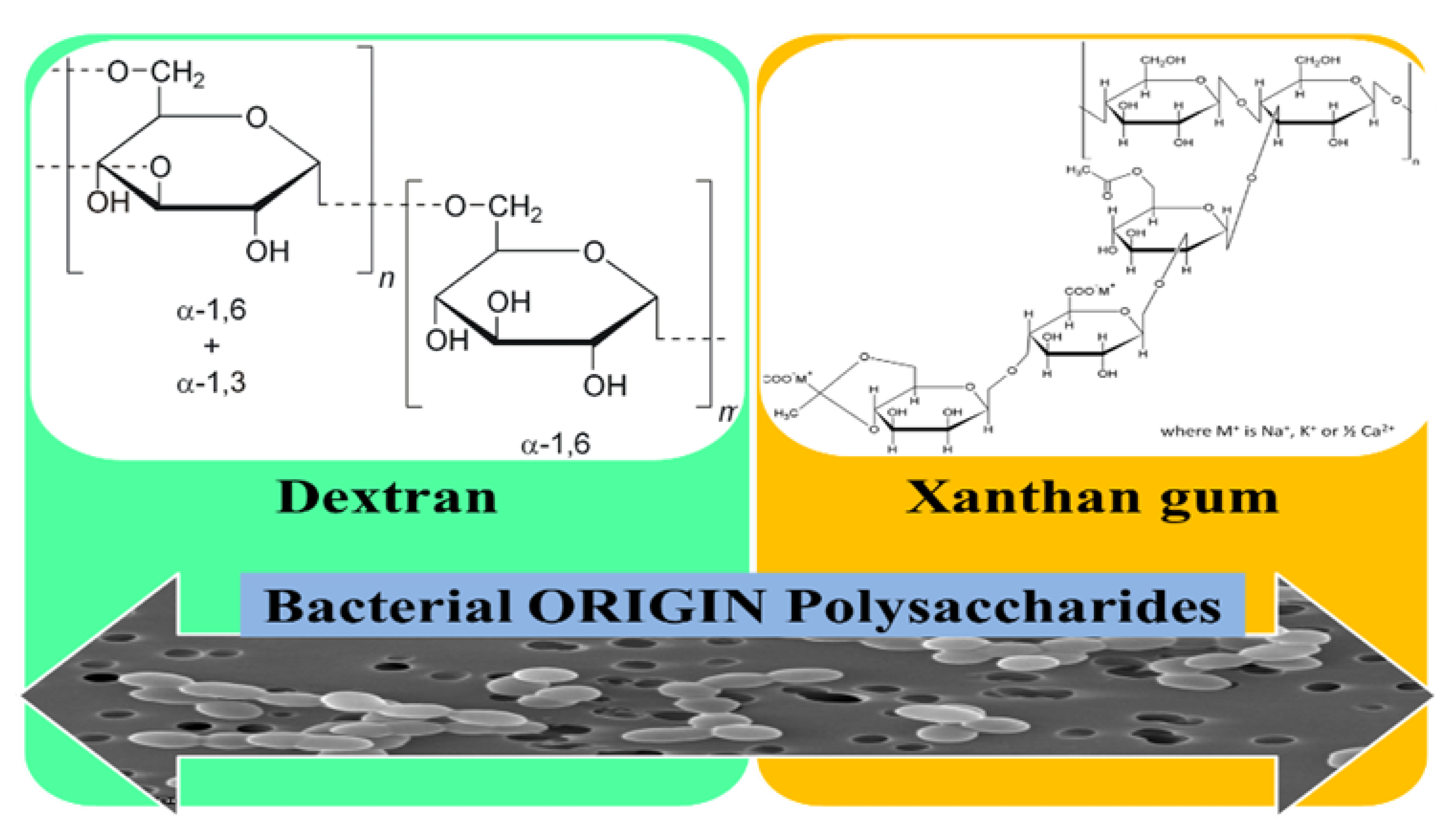 Pharmaceutics 12 00983 g010 Pharmaceutics 12 00983 g010