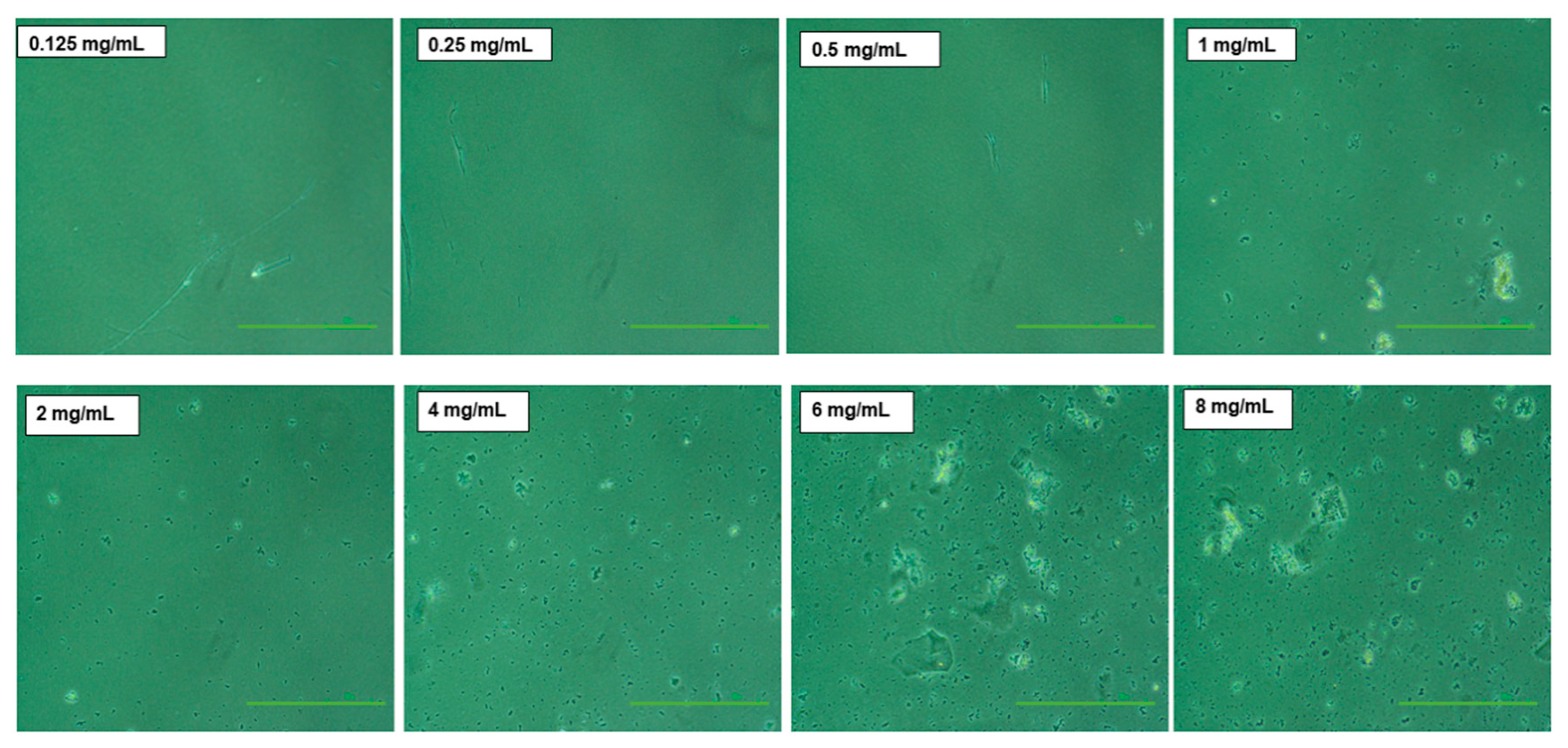 Pharmaceutics 12 00984 g004 Pharmaceutics 12 00984 g004