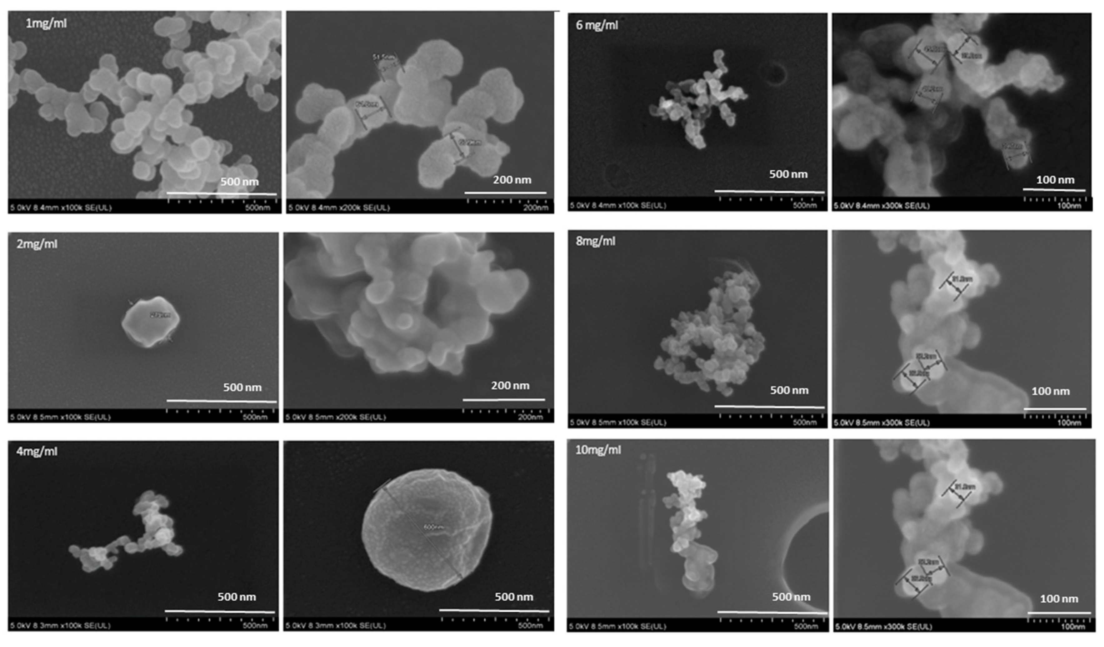 Pharmaceutics 12 00984 g005 Pharmaceutics 12 00984 g005