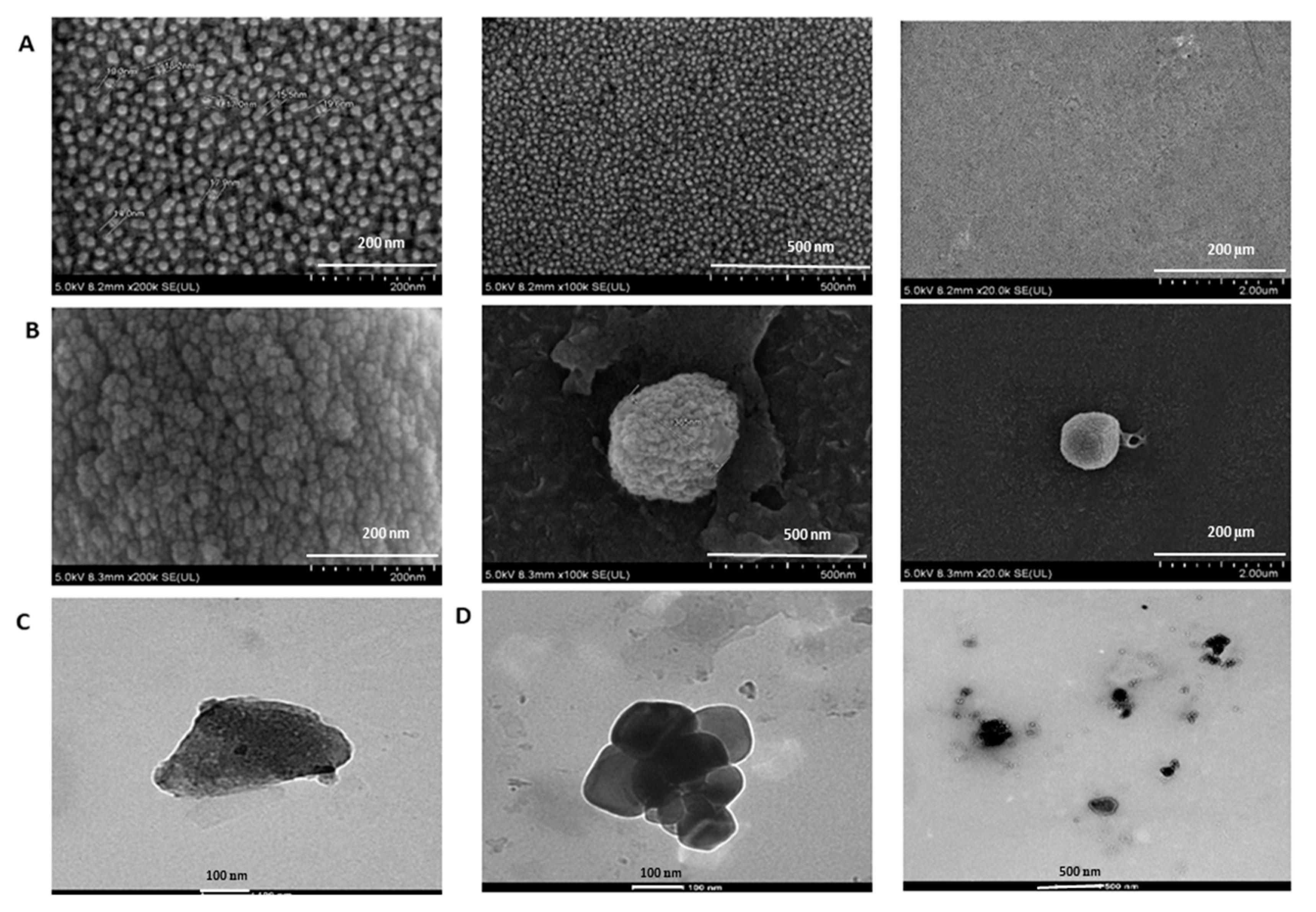 Pharmaceutics 12 00984 g008 Pharmaceutics 12 00984 g008