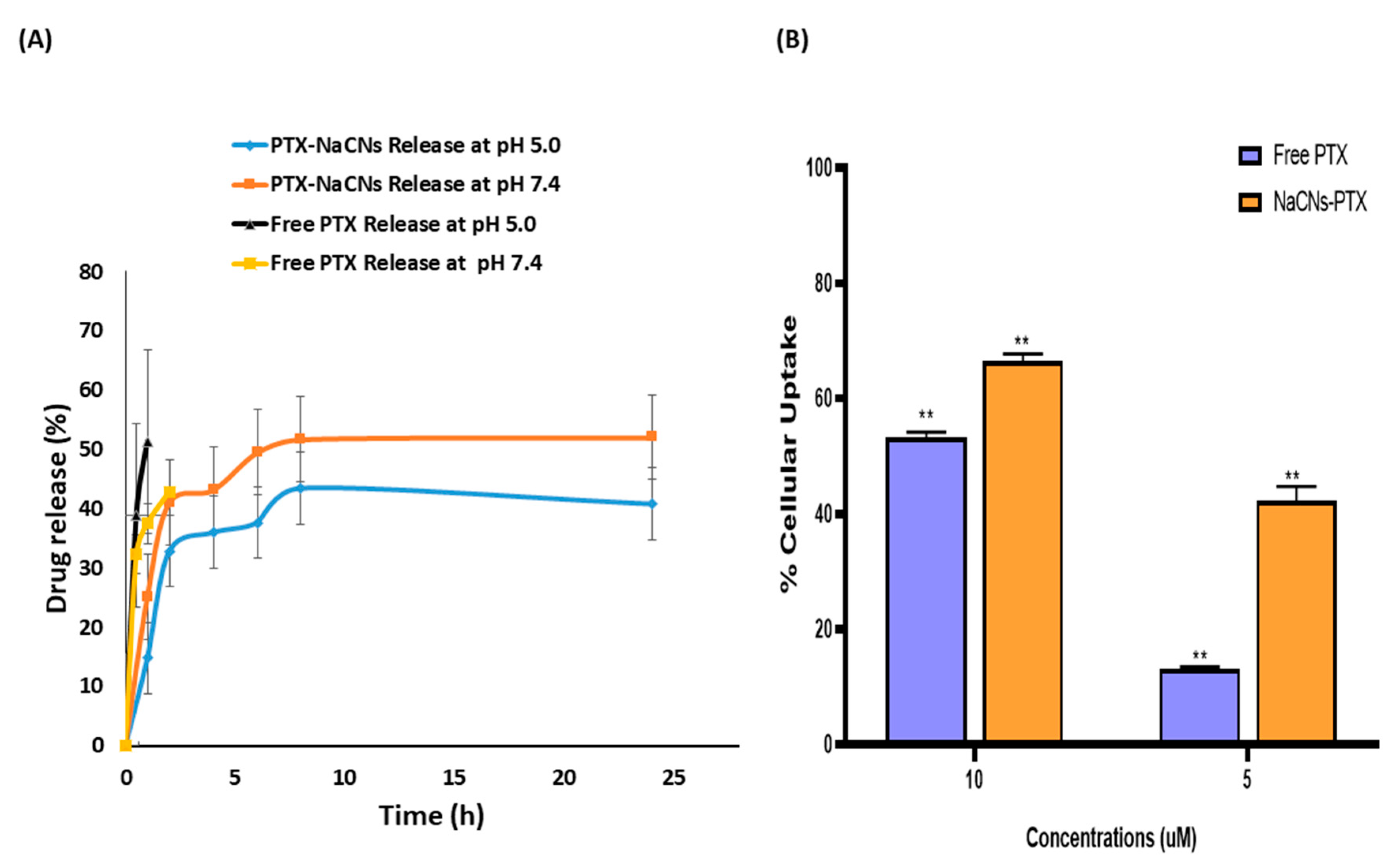 Pharmaceutics 12 00984 g010 Pharmaceutics 12 00984 g010