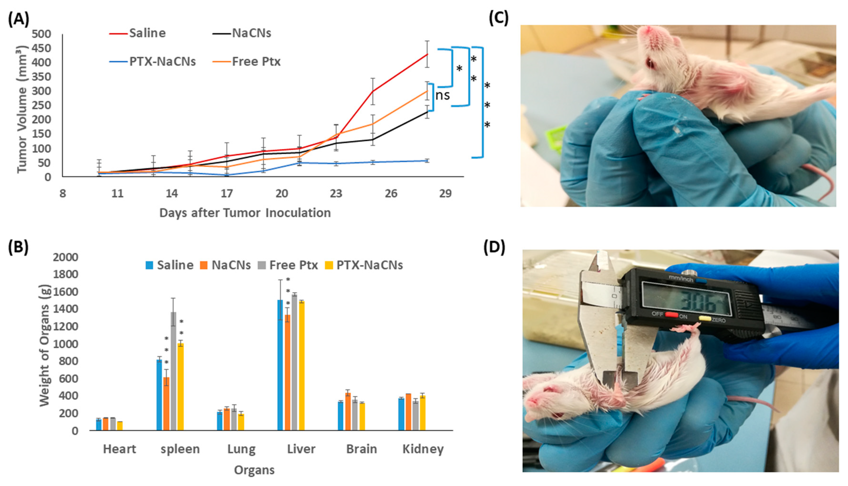 Pharmaceutics 12 00984 g015 Pharmaceutics 12 00984 g015