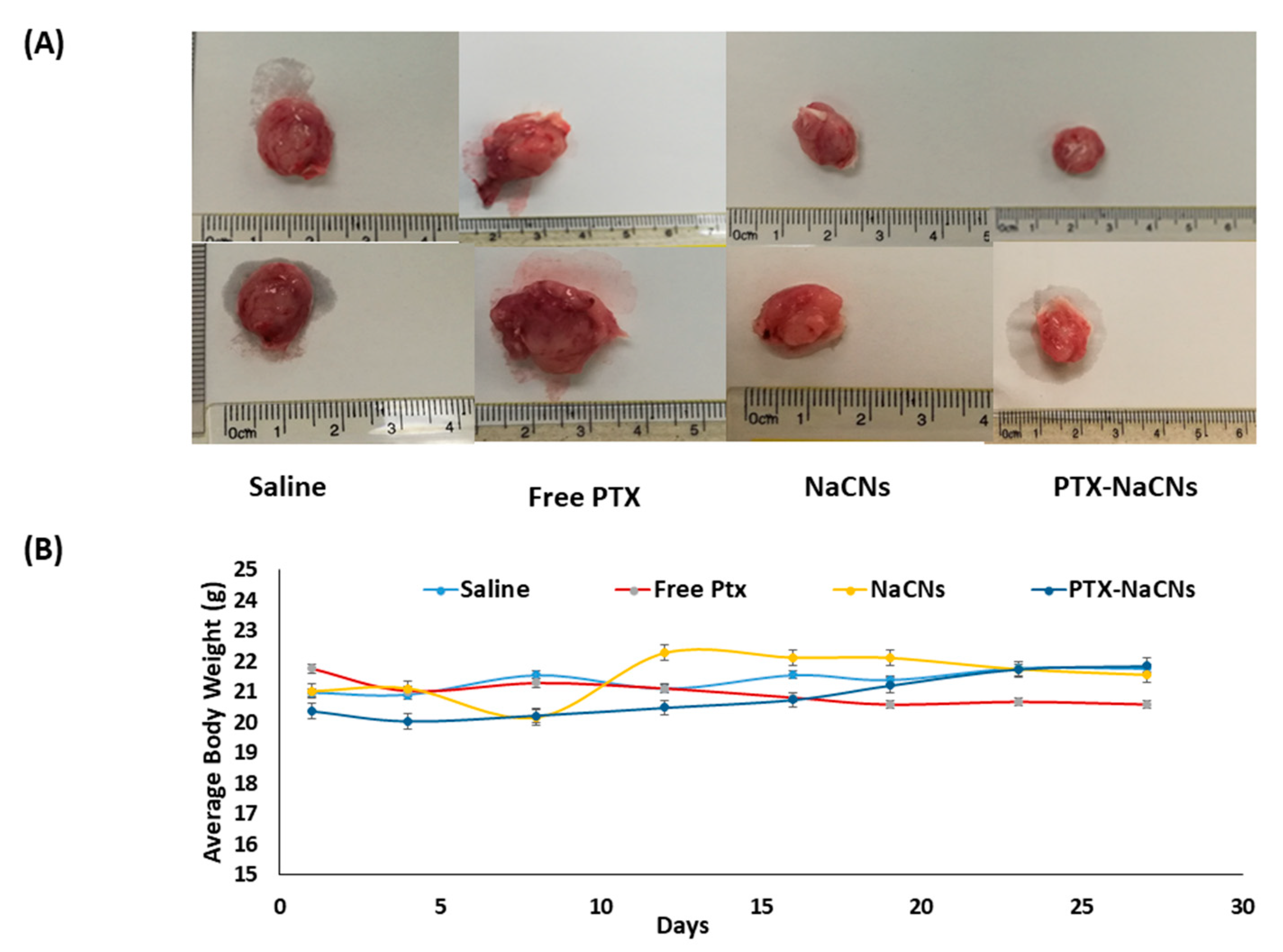 Pharmaceutics 12 00984 g016 Pharmaceutics 12 00984 g016