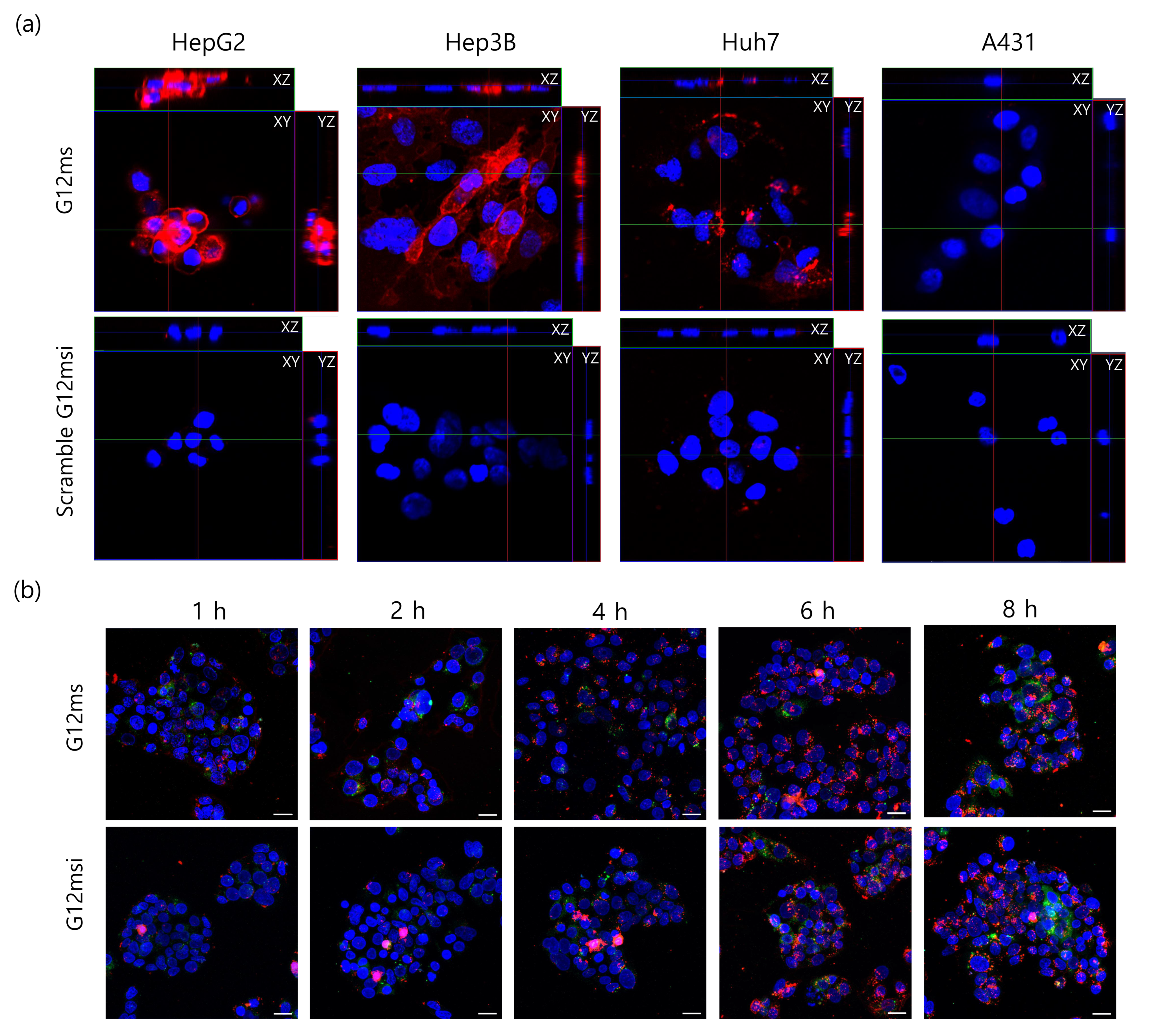 Pharmaceutics 12 00985 g003