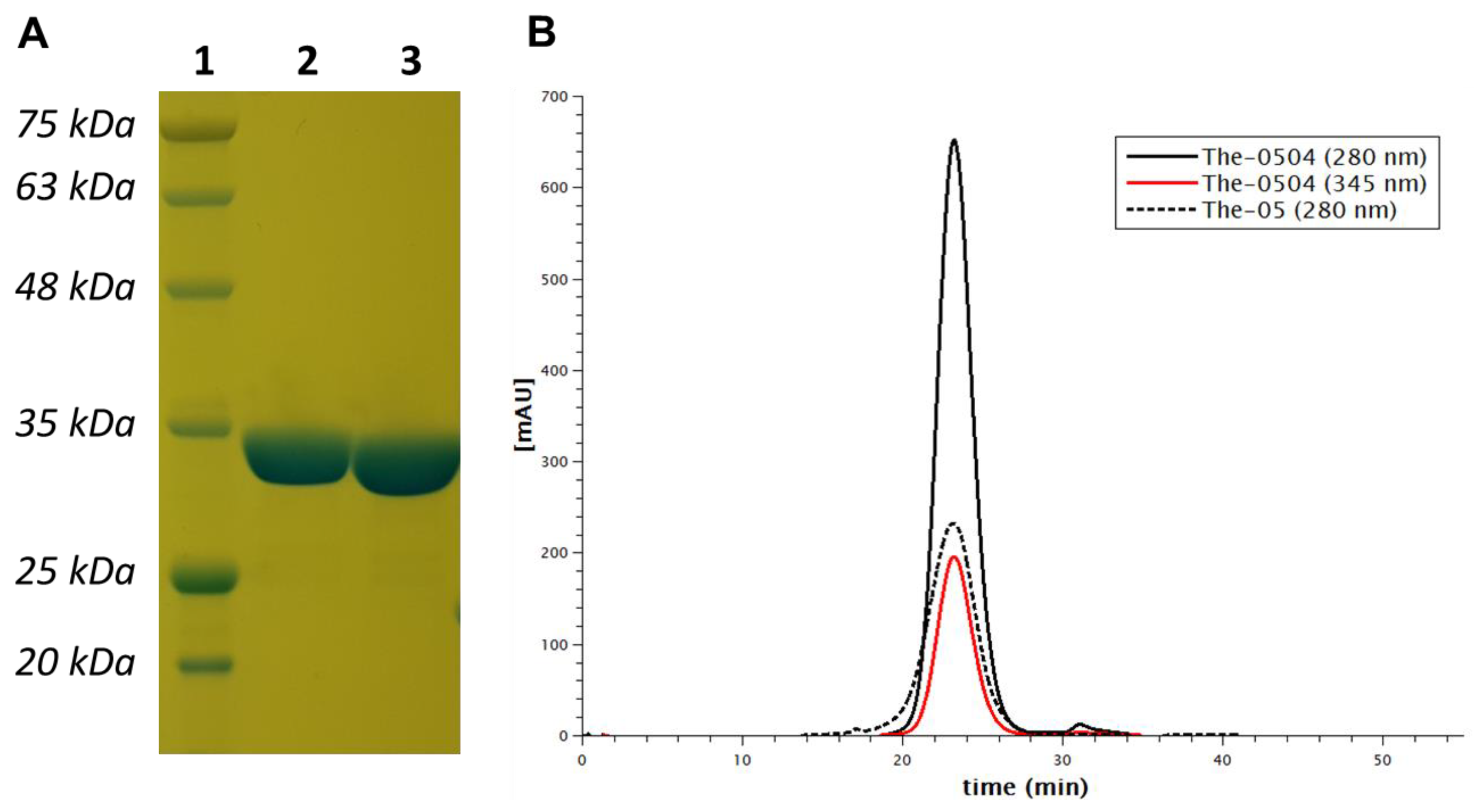 Pharmaceutics 12 00992 g002 Pharmaceutics 12 00992 g002
