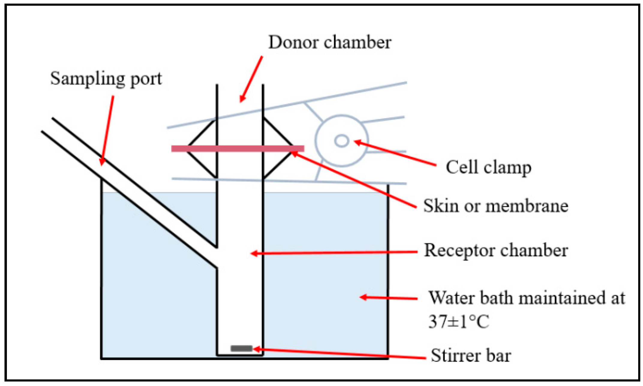 Pharmaceutics 12 00994 g001