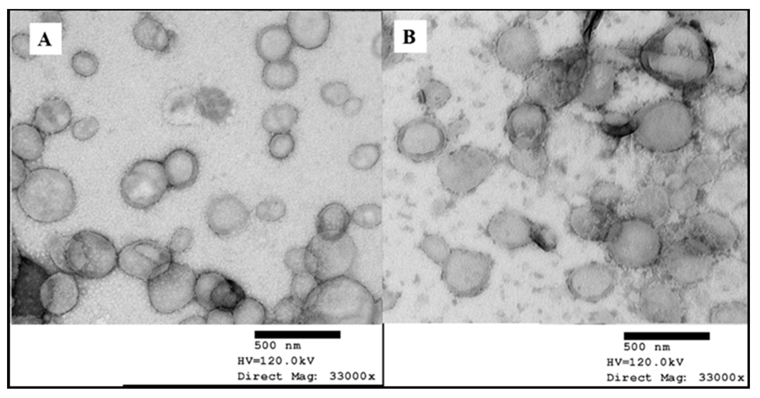 Pharmaceutics 12 00994 g005