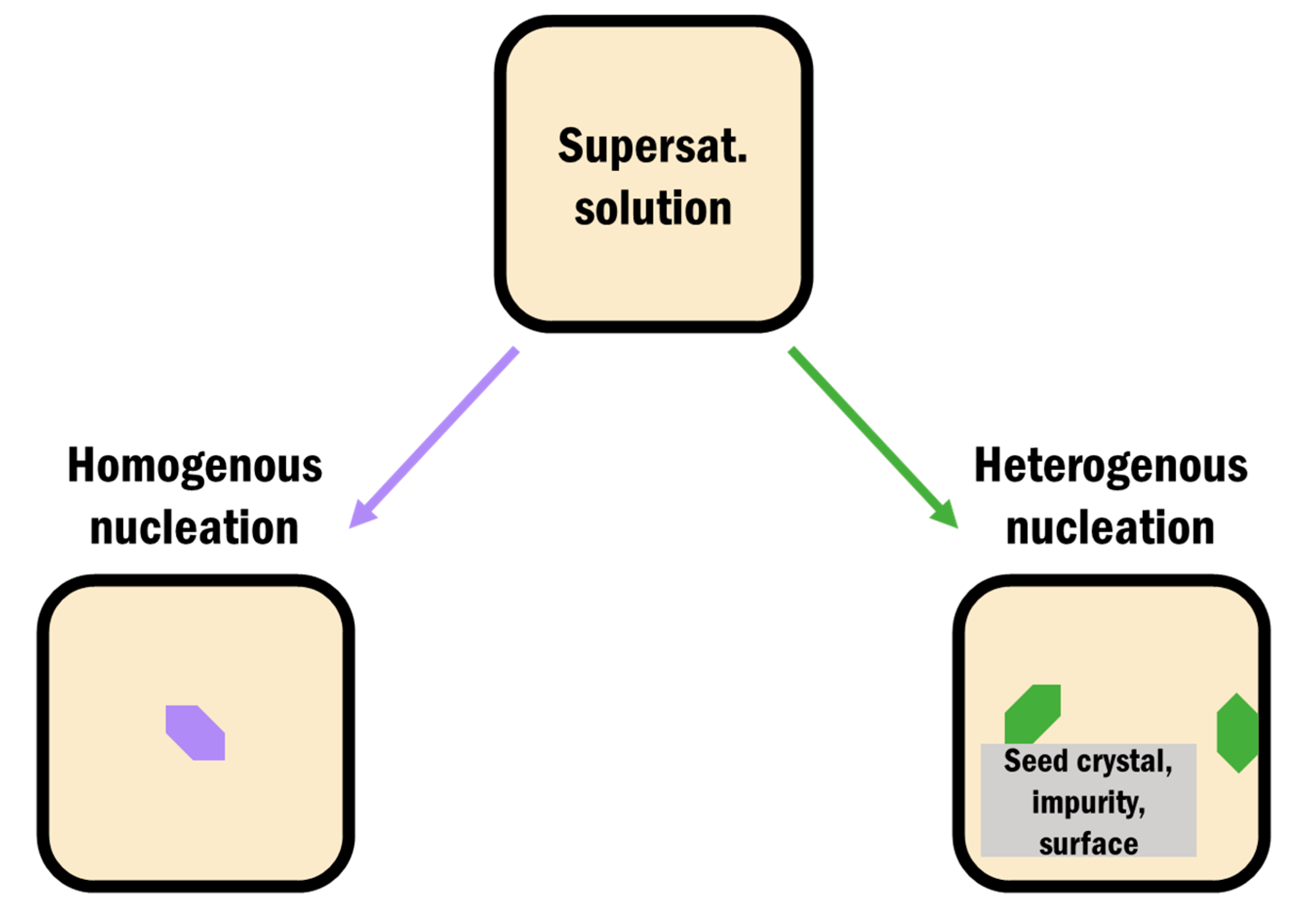 Pharmaceutics 12 00995 g003