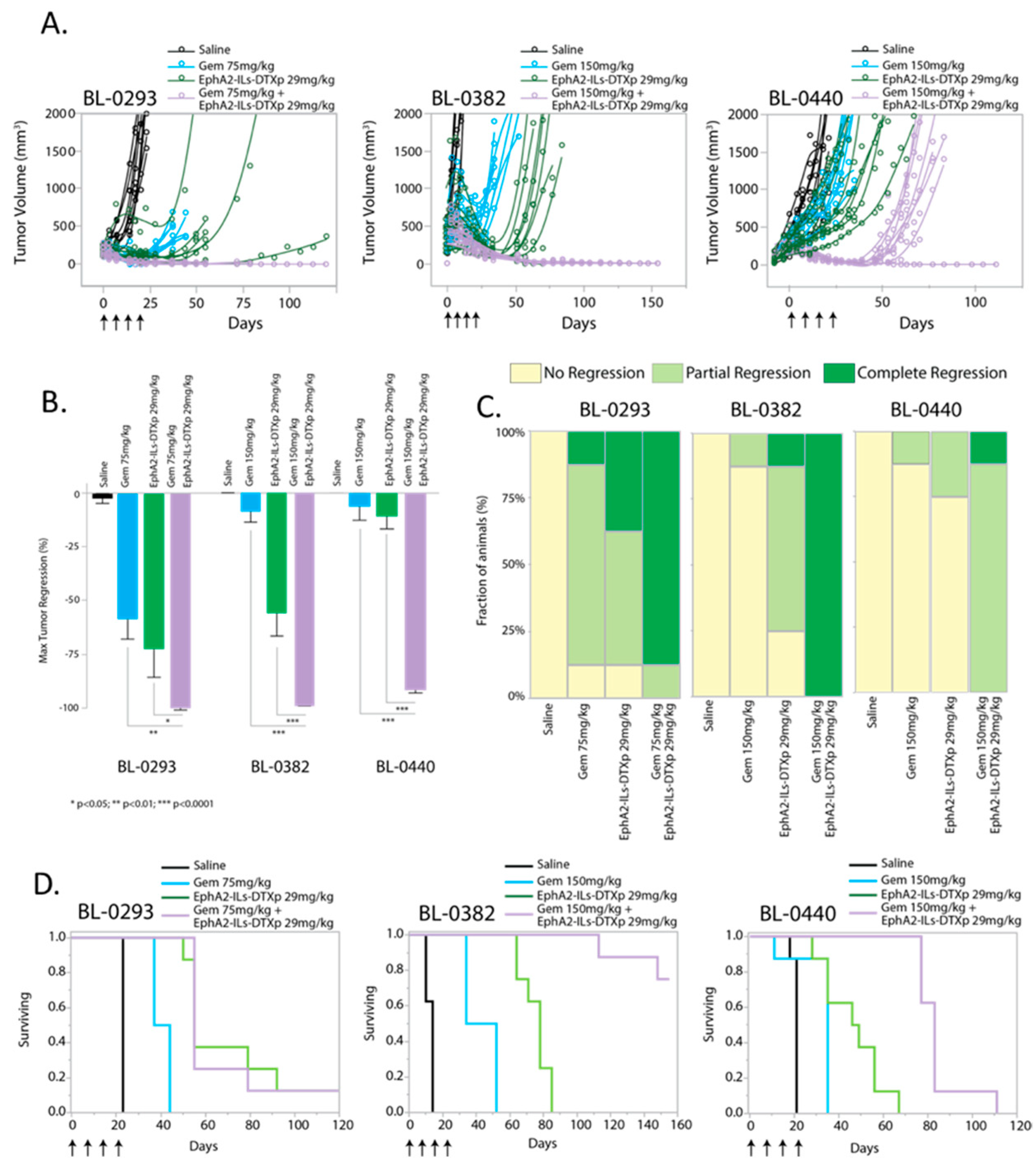 Pharmaceutics 12 00996 g004