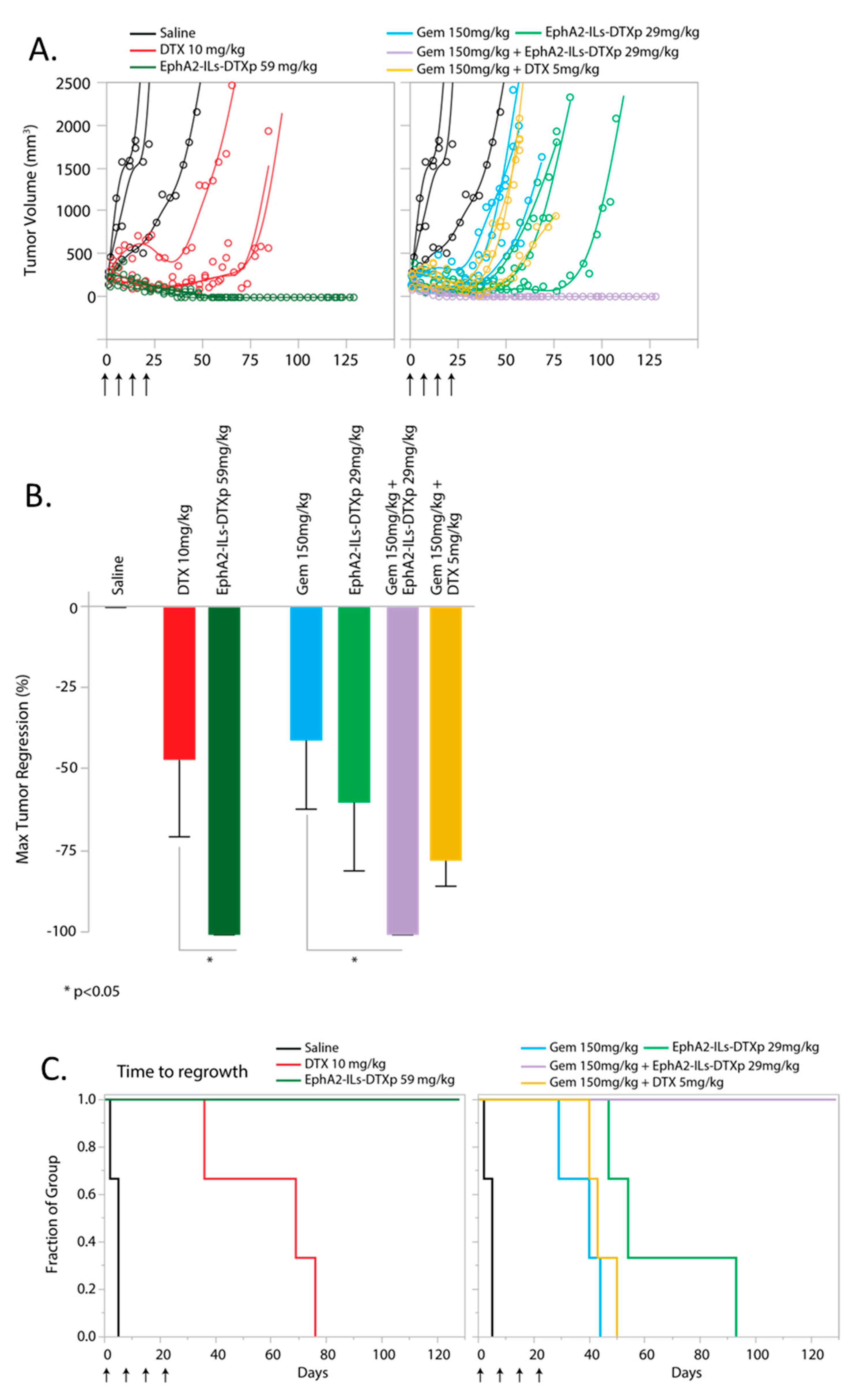 Pharmaceutics 12 00996 g005
