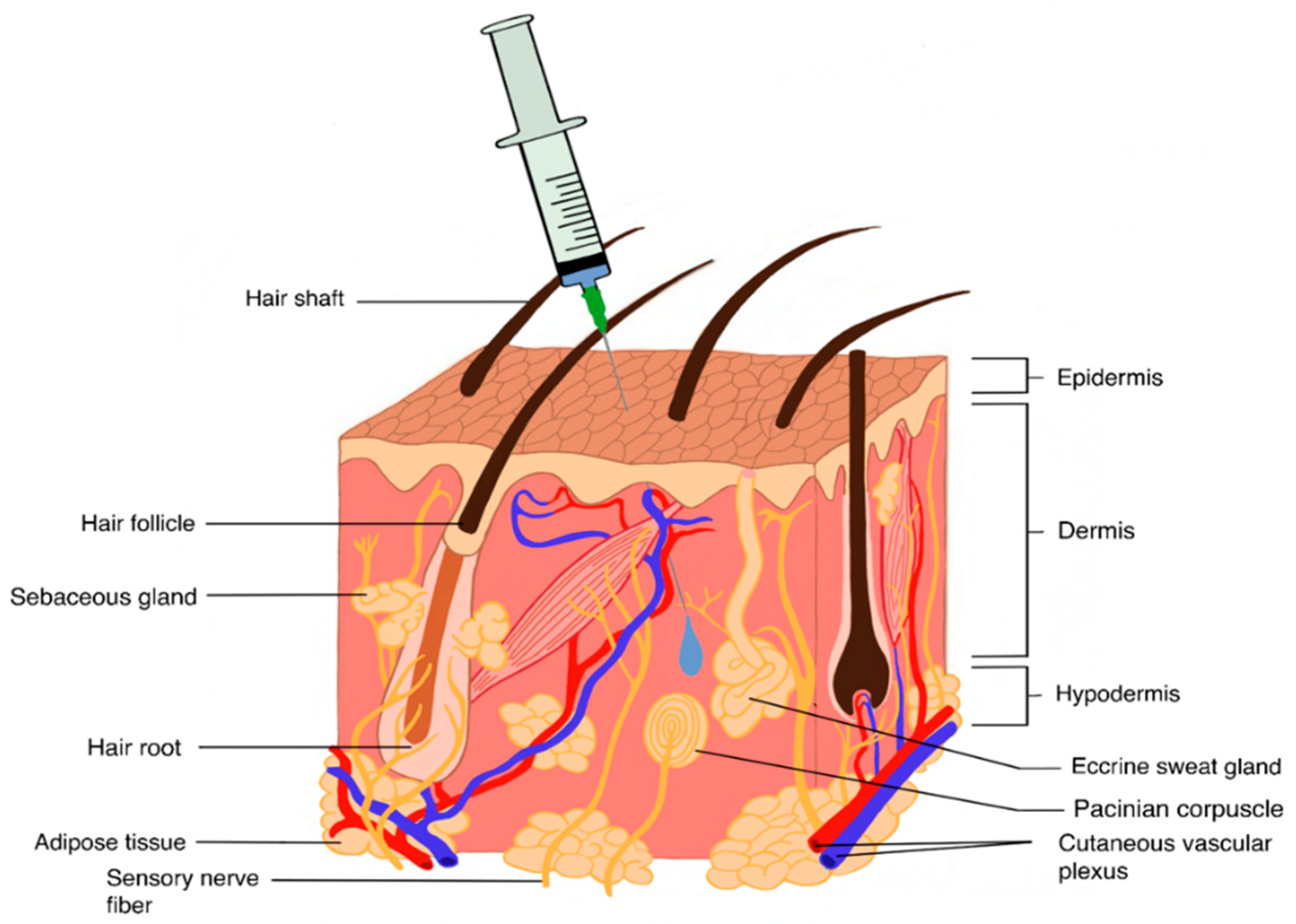 Pharmaceutics 12 00999 g002