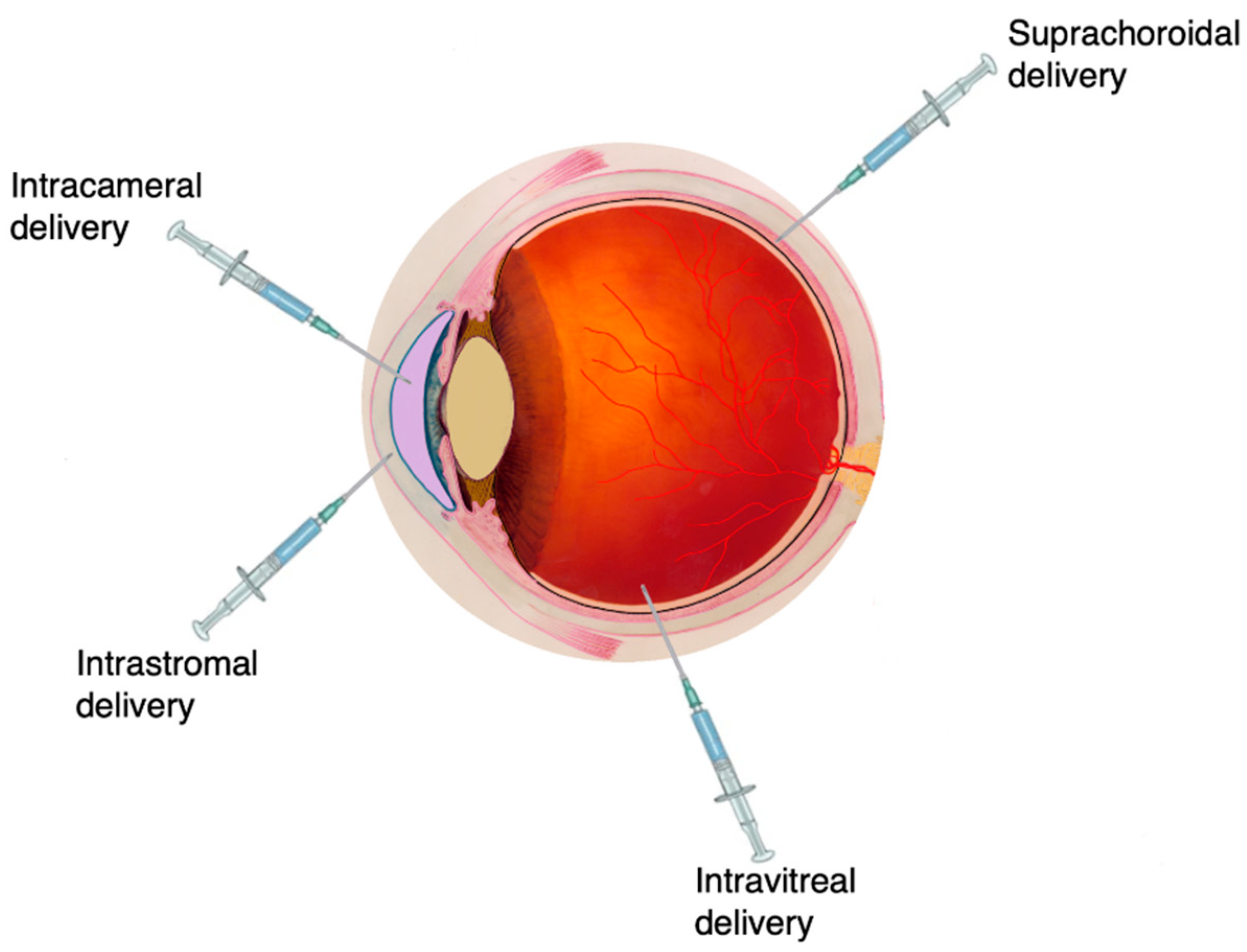 Pharmaceutics 12 00999 g004