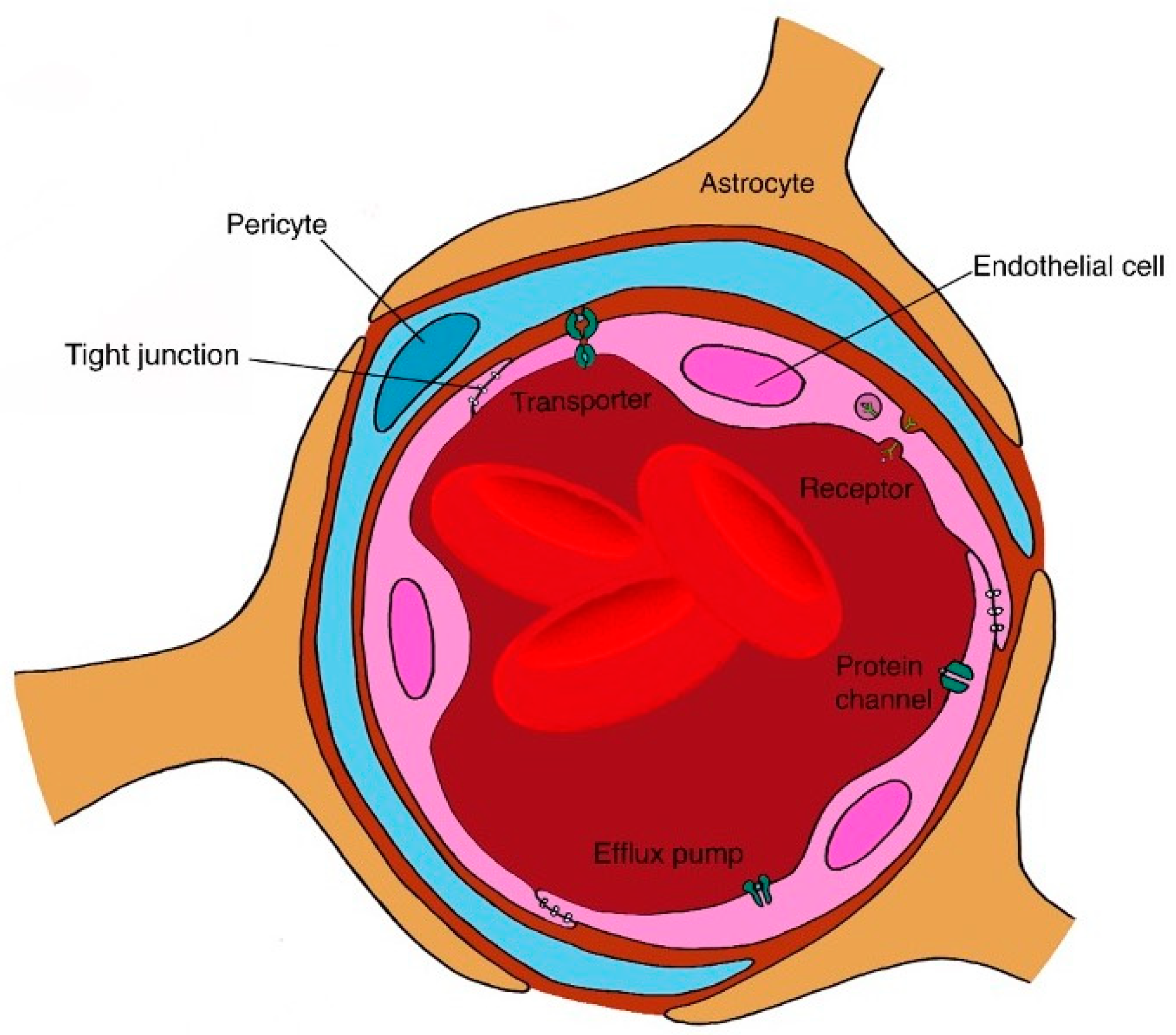Pharmaceutics 12 00999 g005