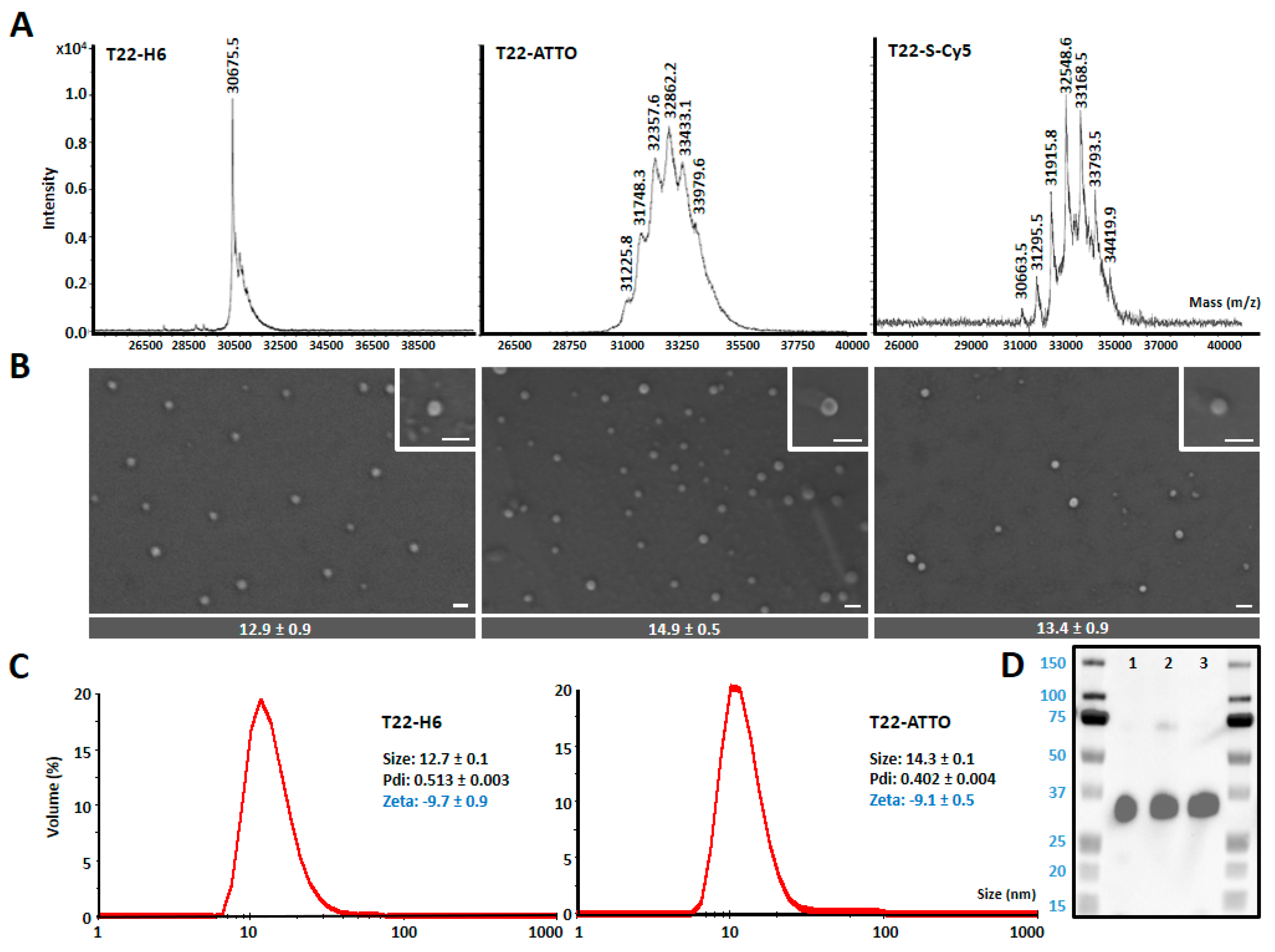 Pharmaceutics 12 01004 g002 Pharmaceutics 12 01004 g002