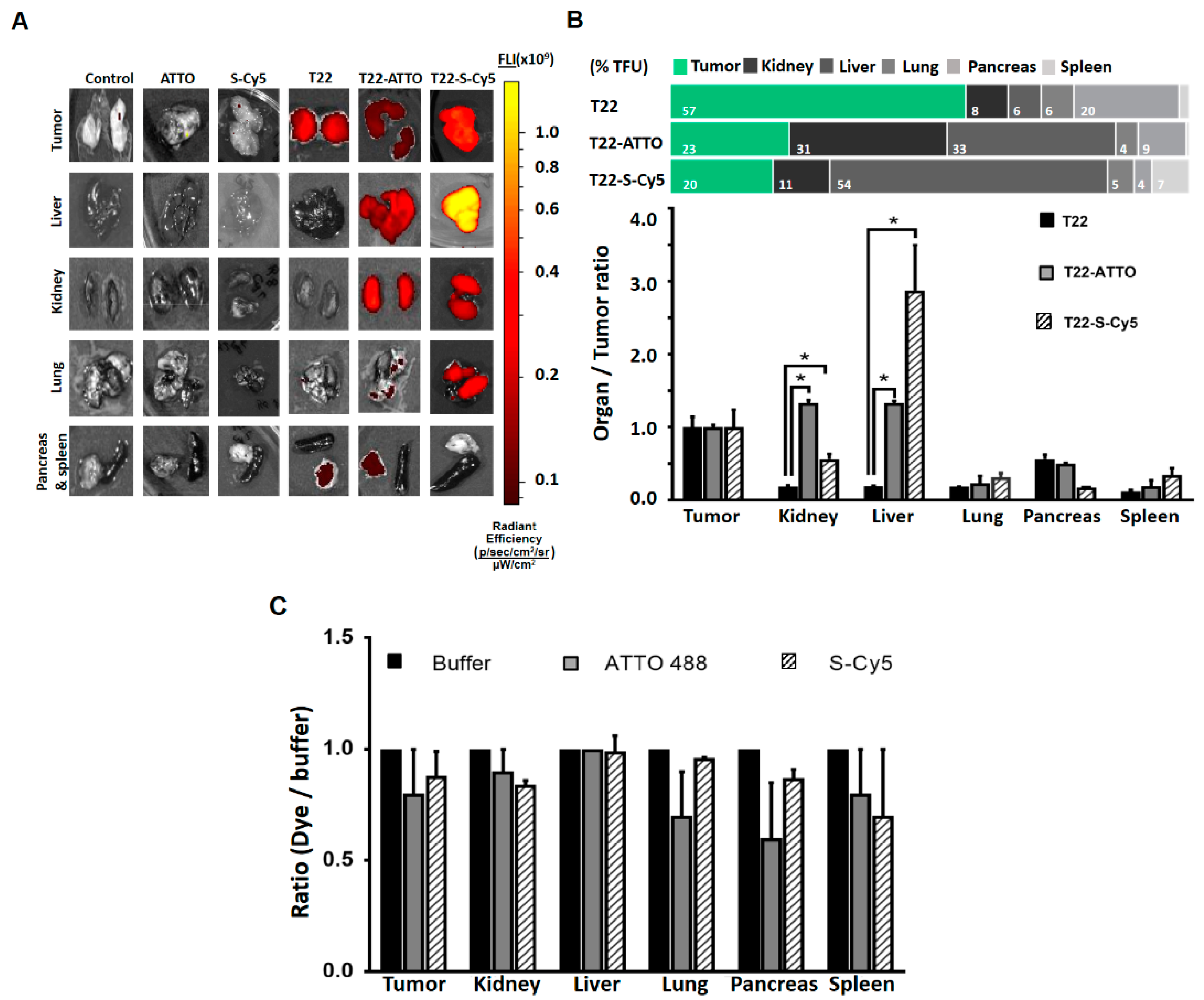 Pharmaceutics 12 01004 g005 Pharmaceutics 12 01004 g005