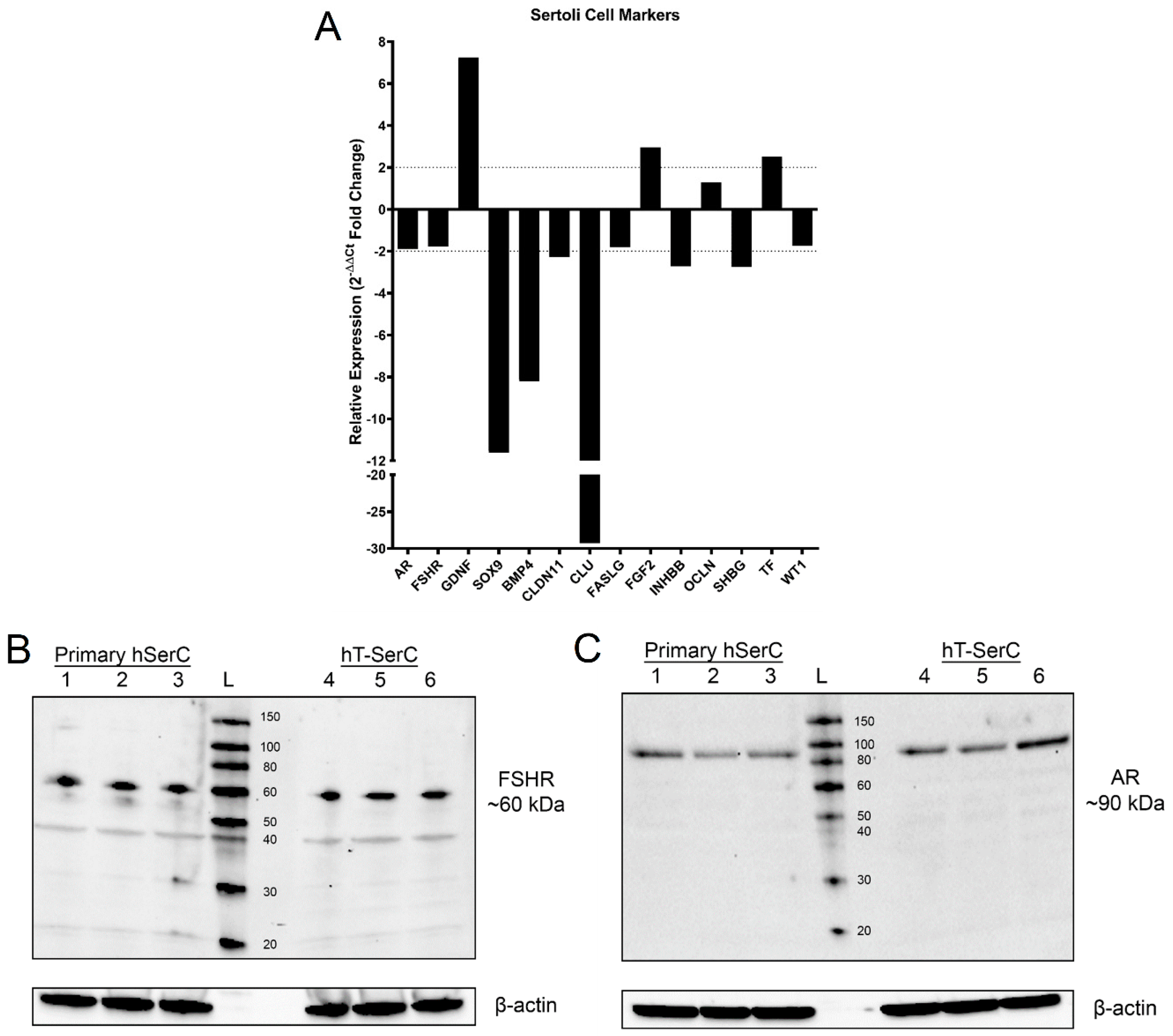 Pharmaceutics 12 01005 g003