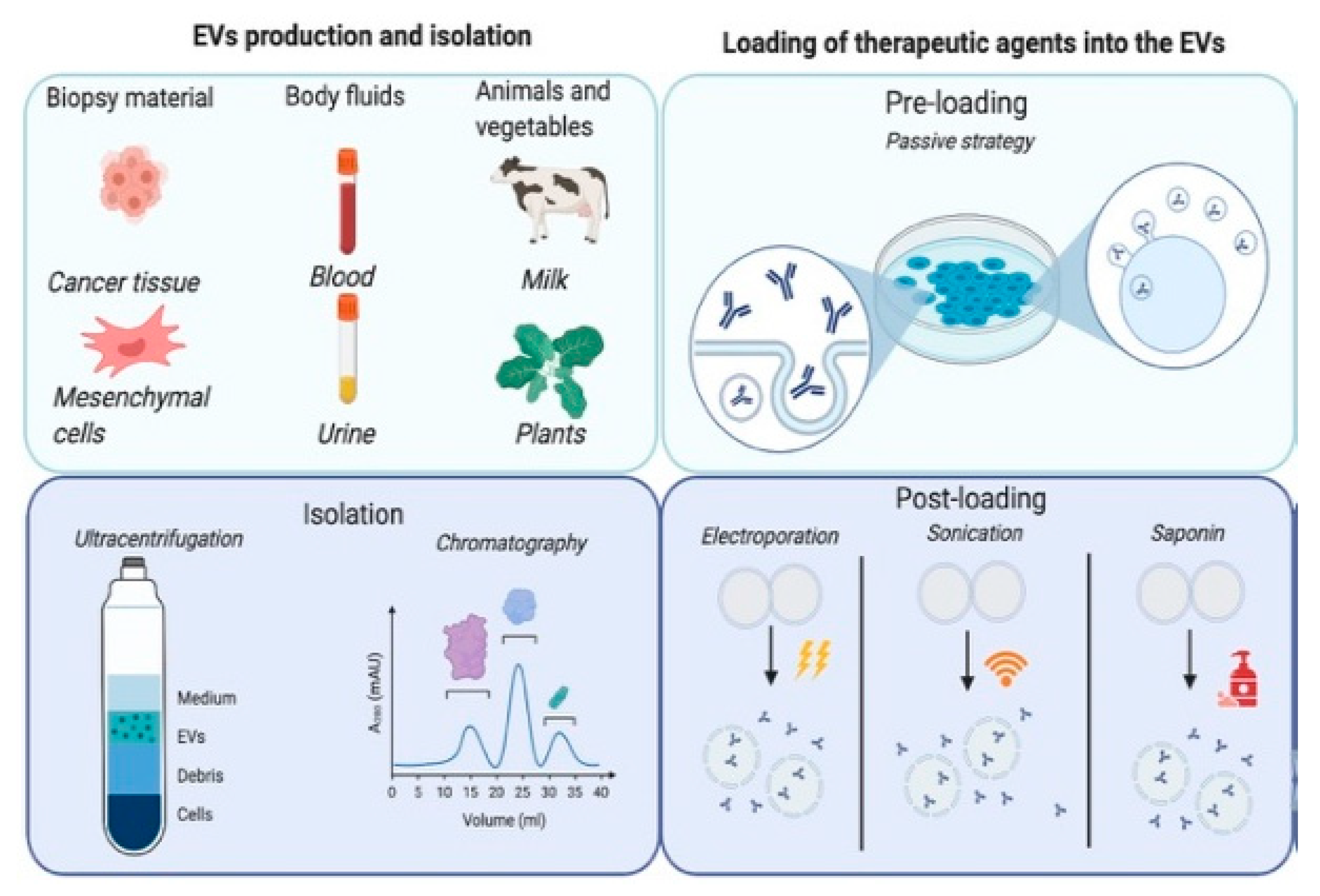 Pharmaceutics 12 01006 g001a Pharmaceutics 12 01006 g001a