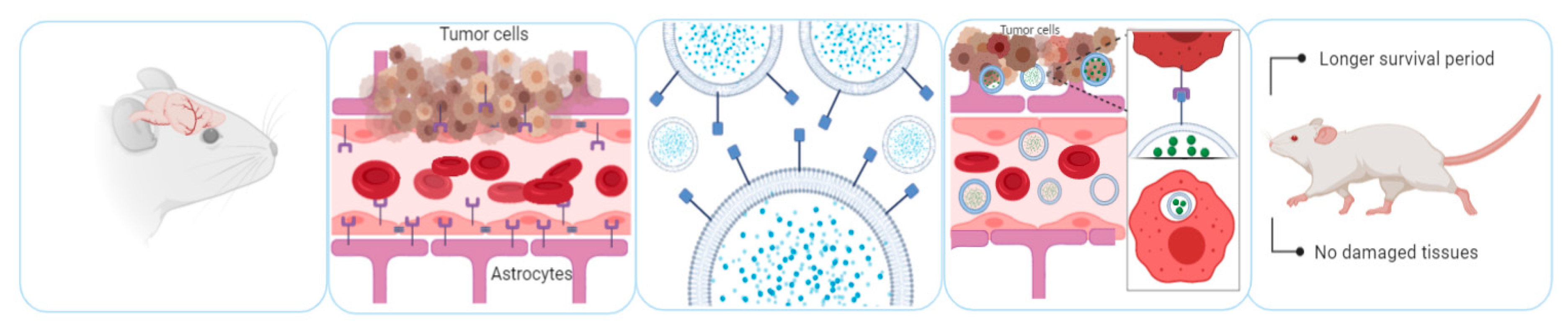 Pharmaceutics 12 01006 g003 Pharmaceutics 12 01006 g003