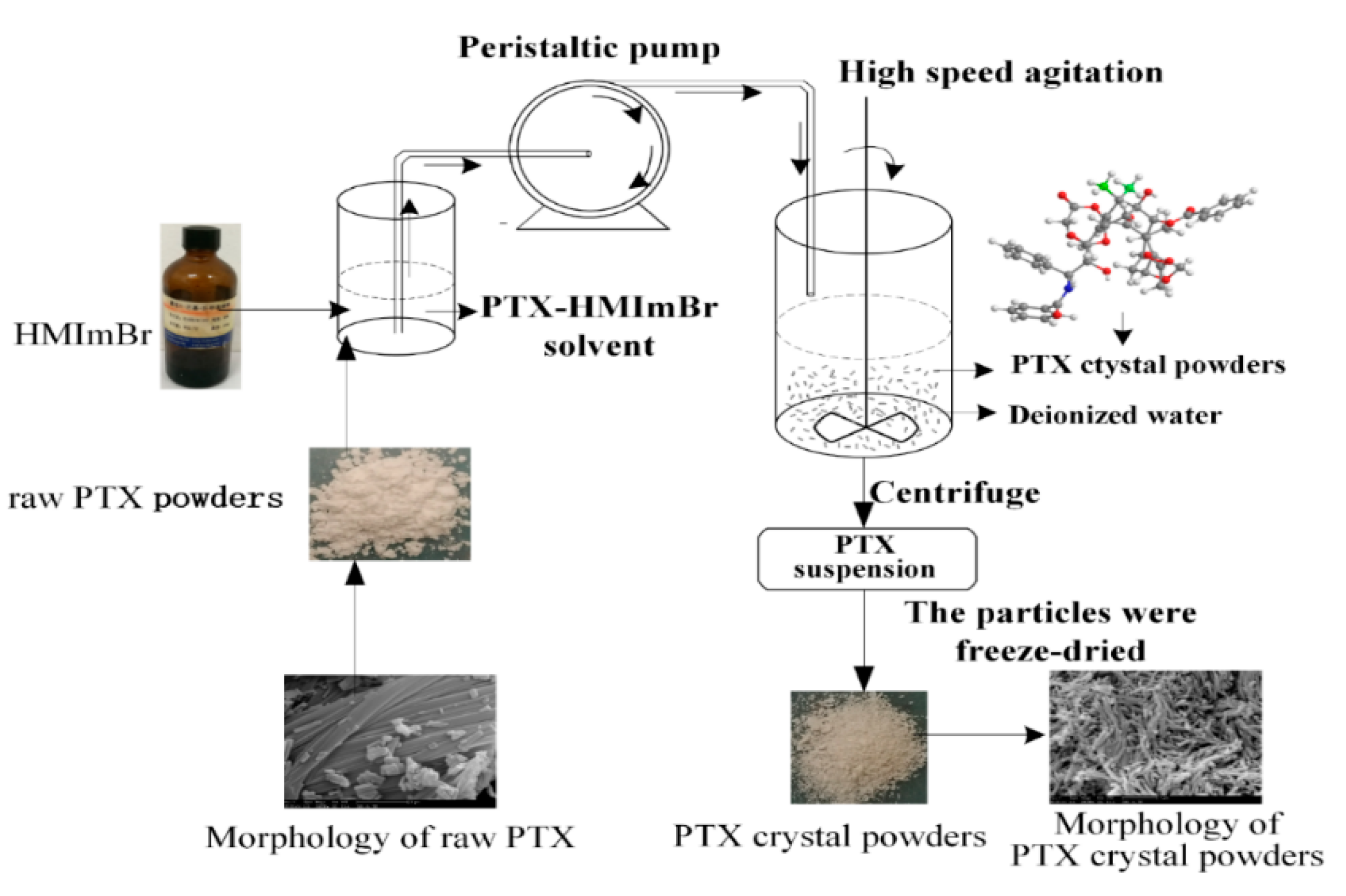 Pharmaceutics 12 01008 g002