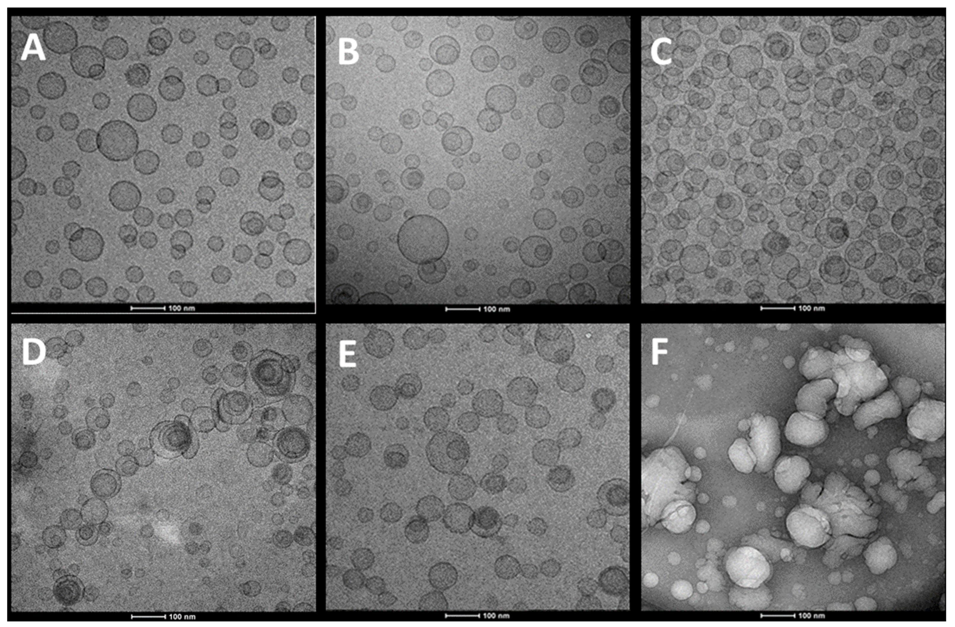 Pharmaceutics 12 01010 g002 Pharmaceutics 12 01010 g002