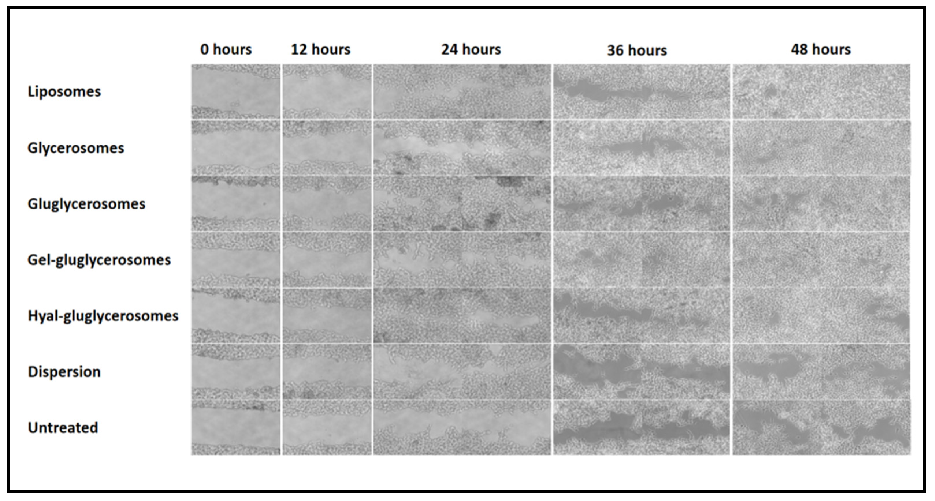 Pharmaceutics 12 01010 g007 Pharmaceutics 12 01010 g007