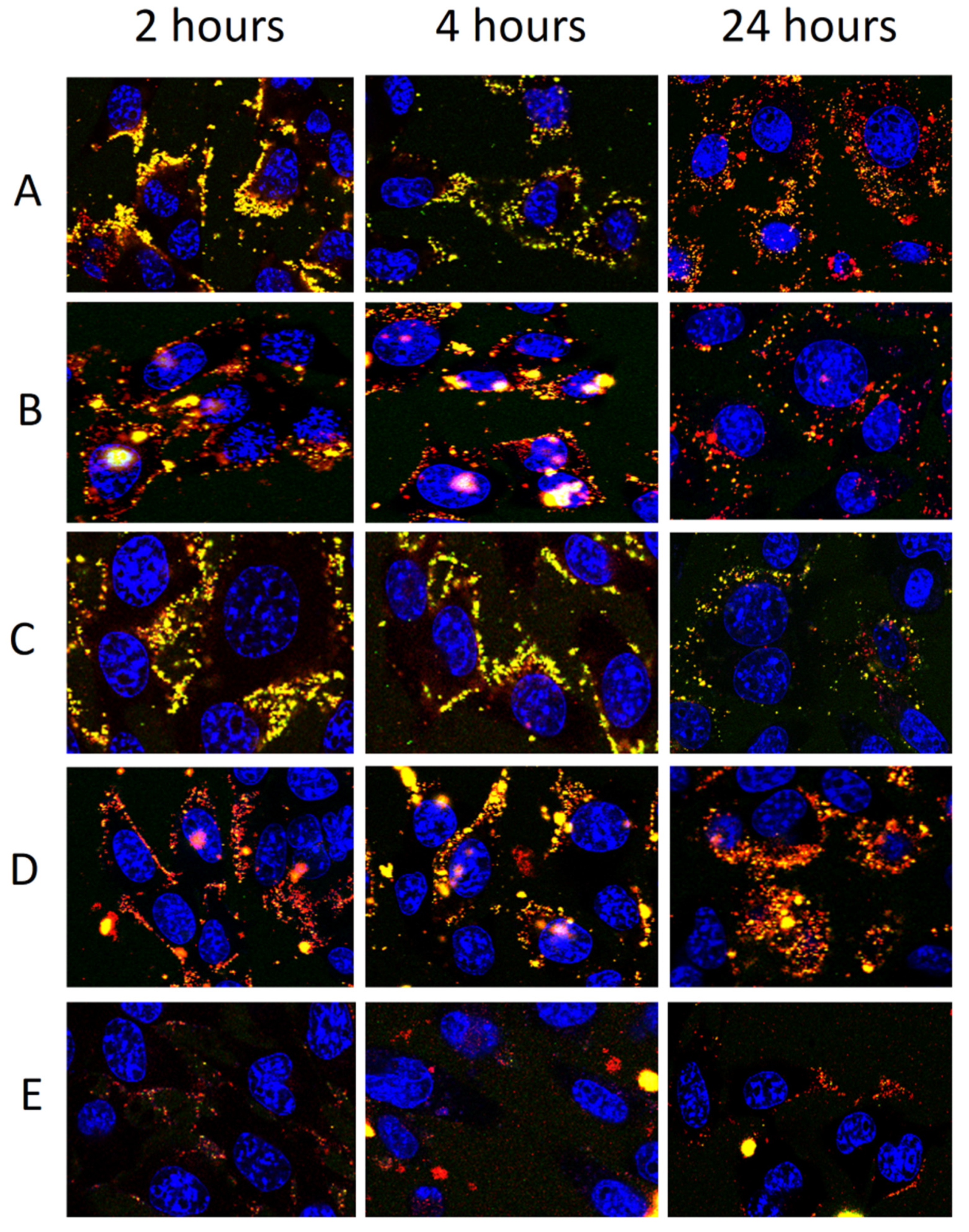 Pharmaceutics 12 01010 g009 Pharmaceutics 12 01010 g009