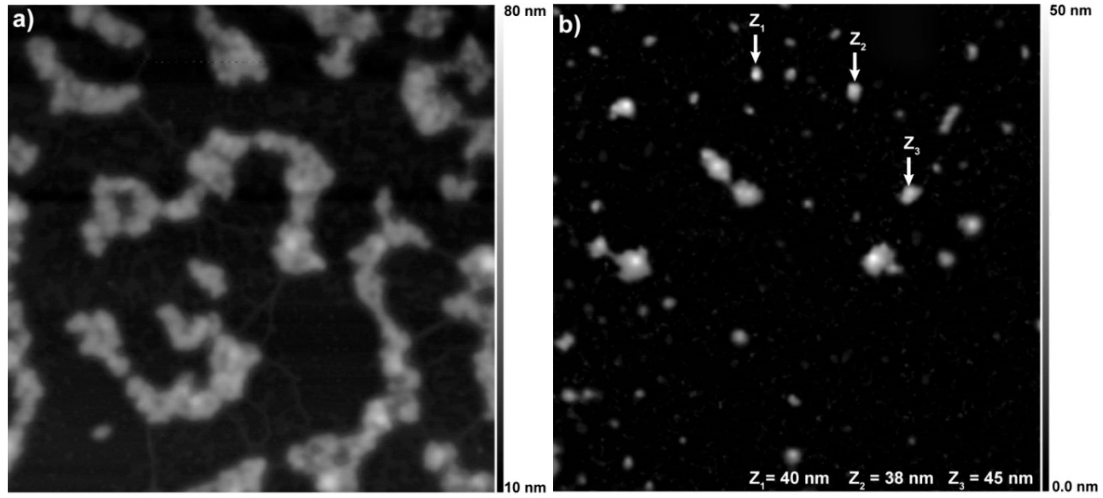 Pharmaceutics 12 01012 g003