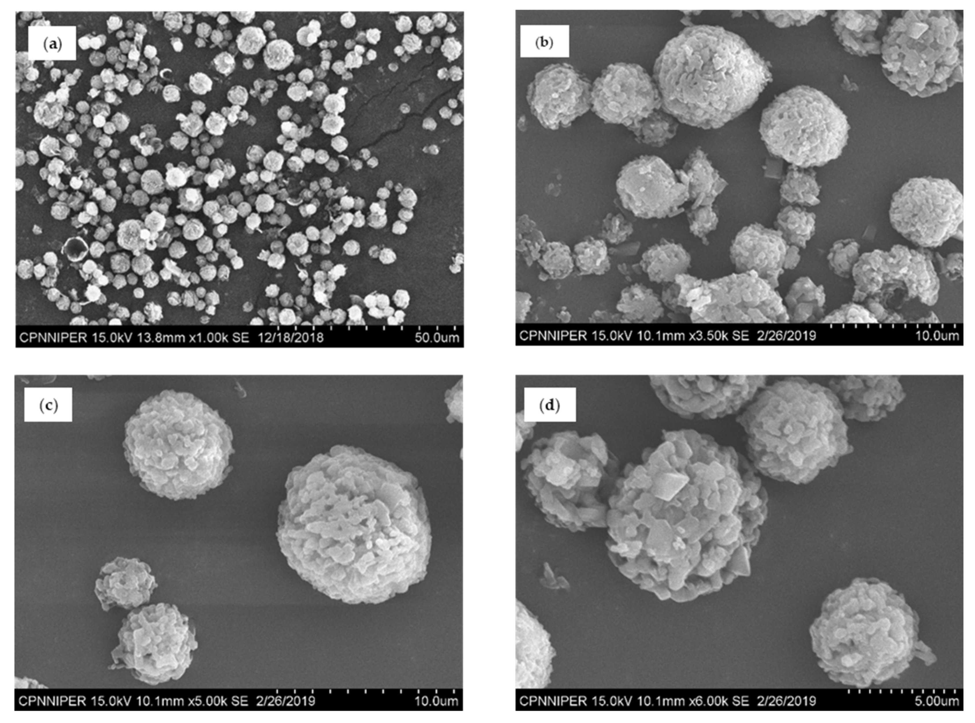 Pharmaceutics 12 01015 g003 Pharmaceutics 12 01015 g003