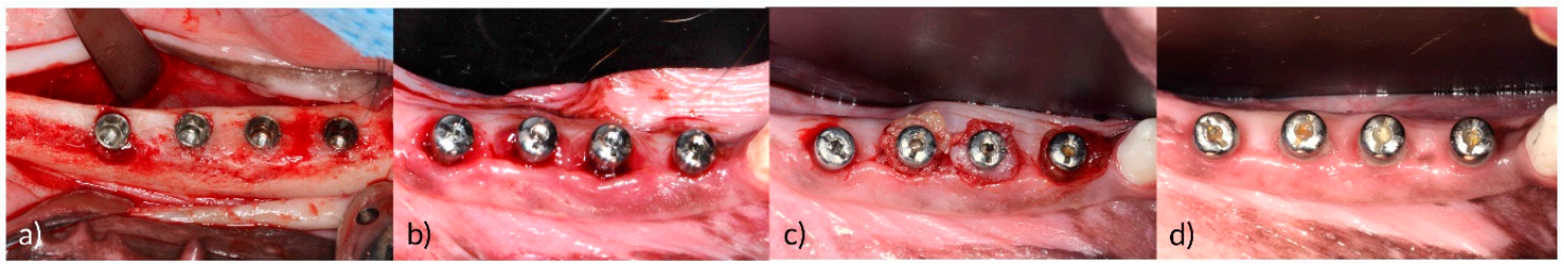 Pharmaceutics 12 01016 g001 Pharmaceutics 12 01016 g001