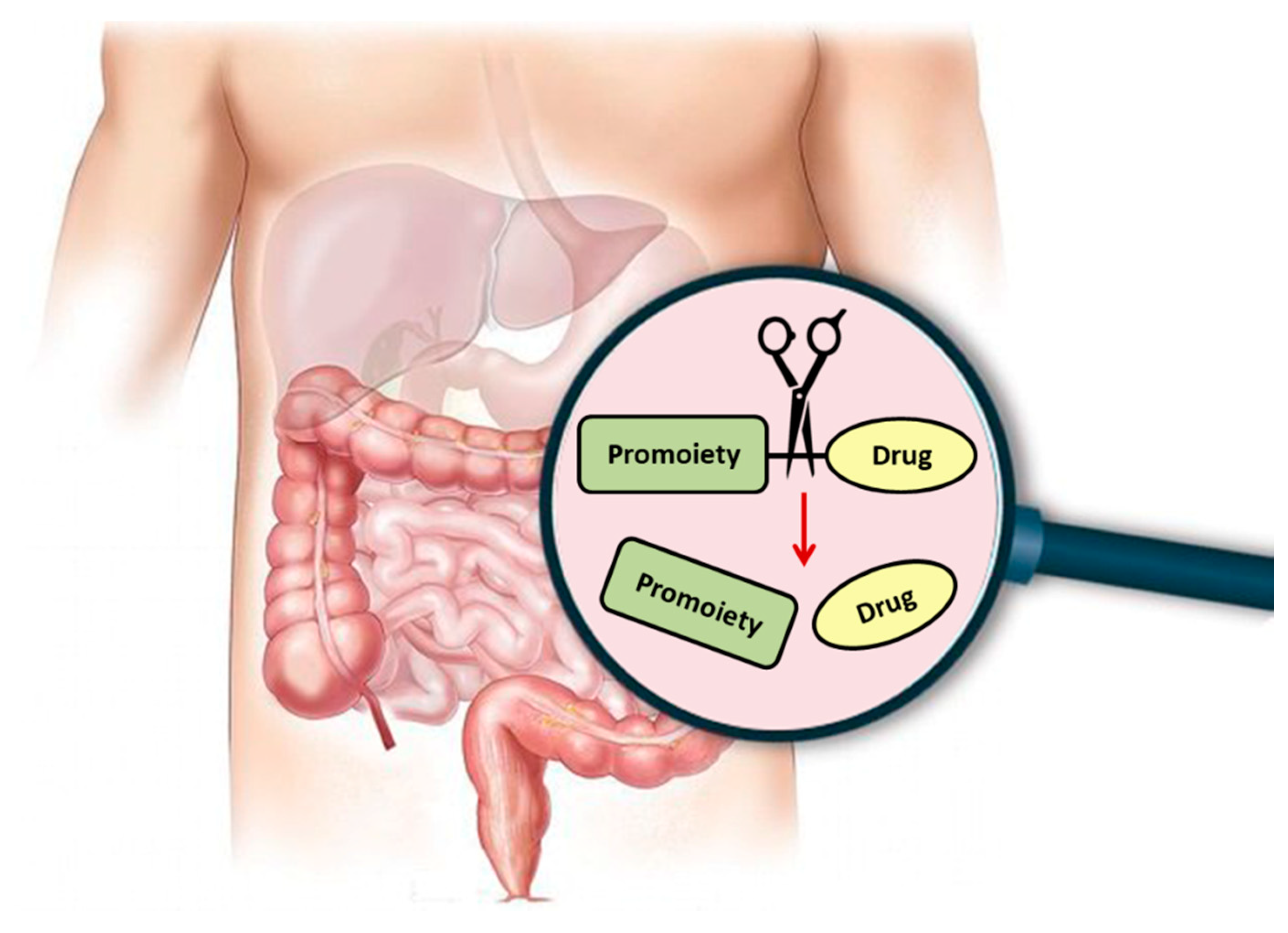 Pharmaceutics 12 01031 g001