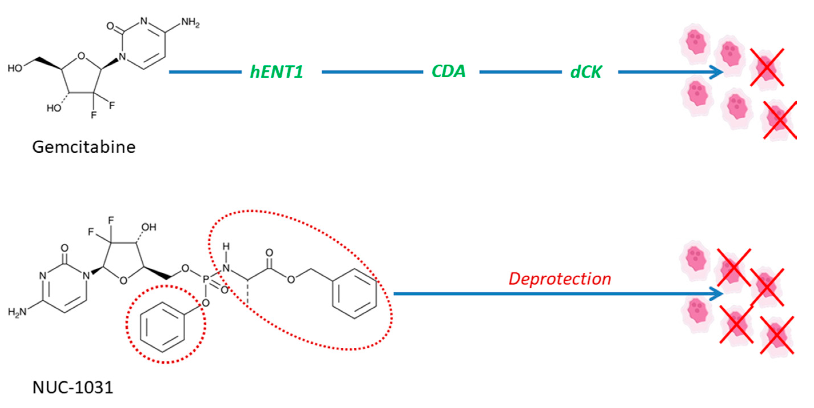 Pharmaceutics 12 01031 g003
