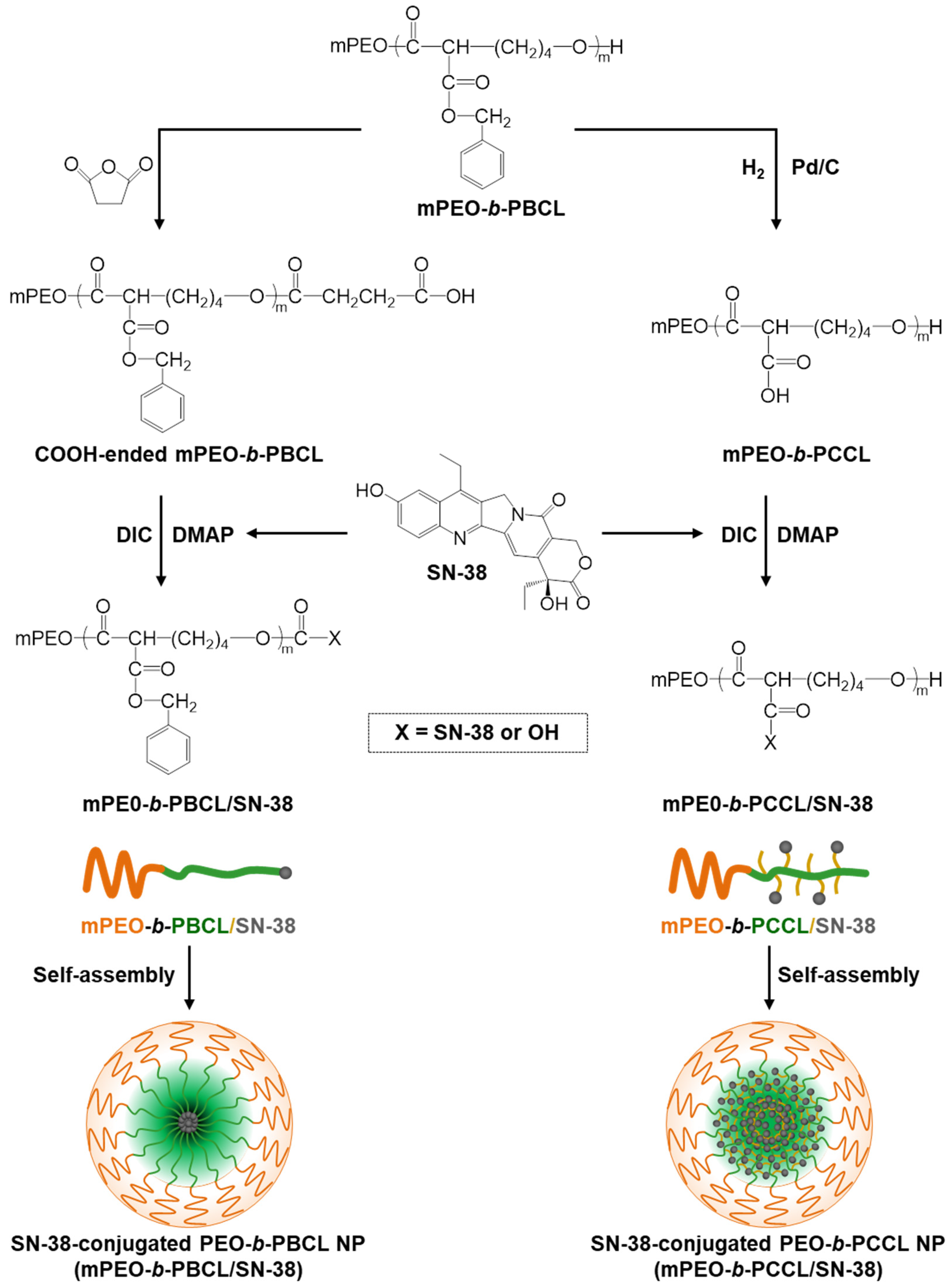 Pharmaceutics 12 01033 g001 Pharmaceutics 12 01033 g001