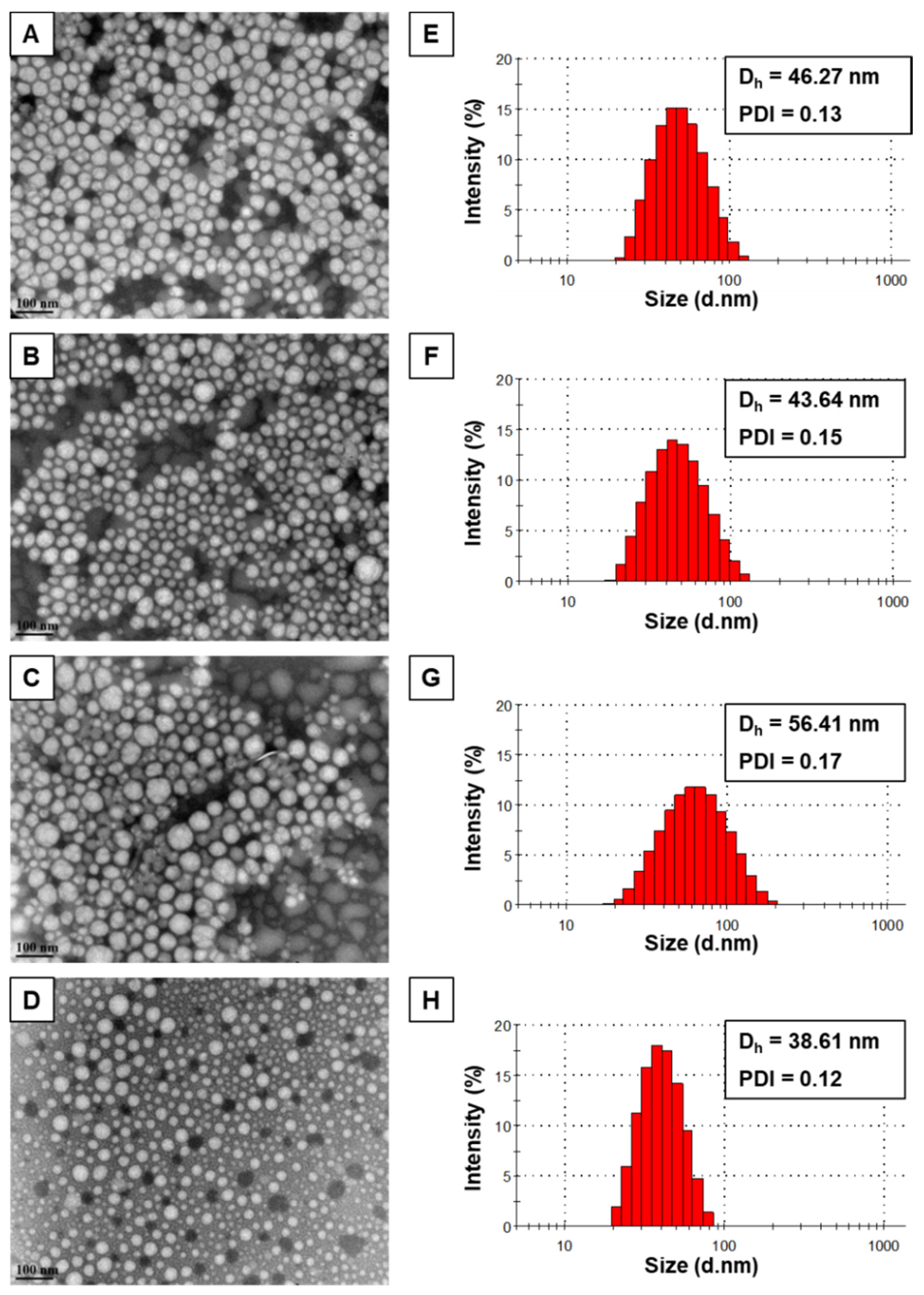 Pharmaceutics 12 01033 g003 Pharmaceutics 12 01033 g003