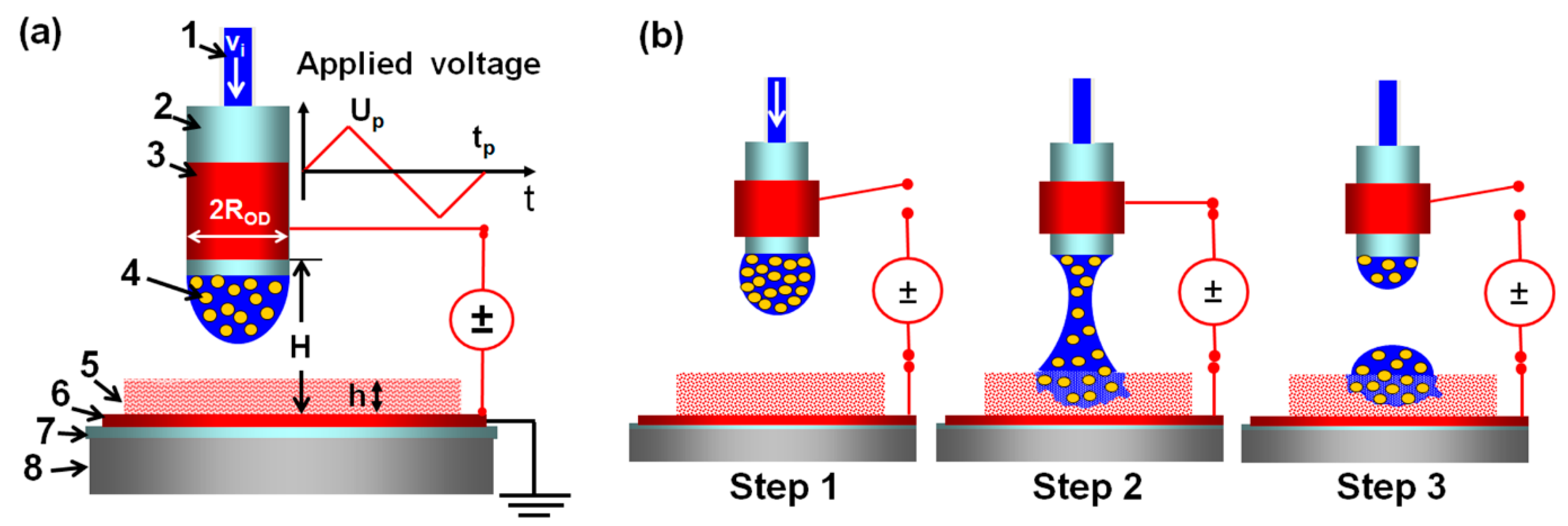 Pharmaceutics 12 01034 g003