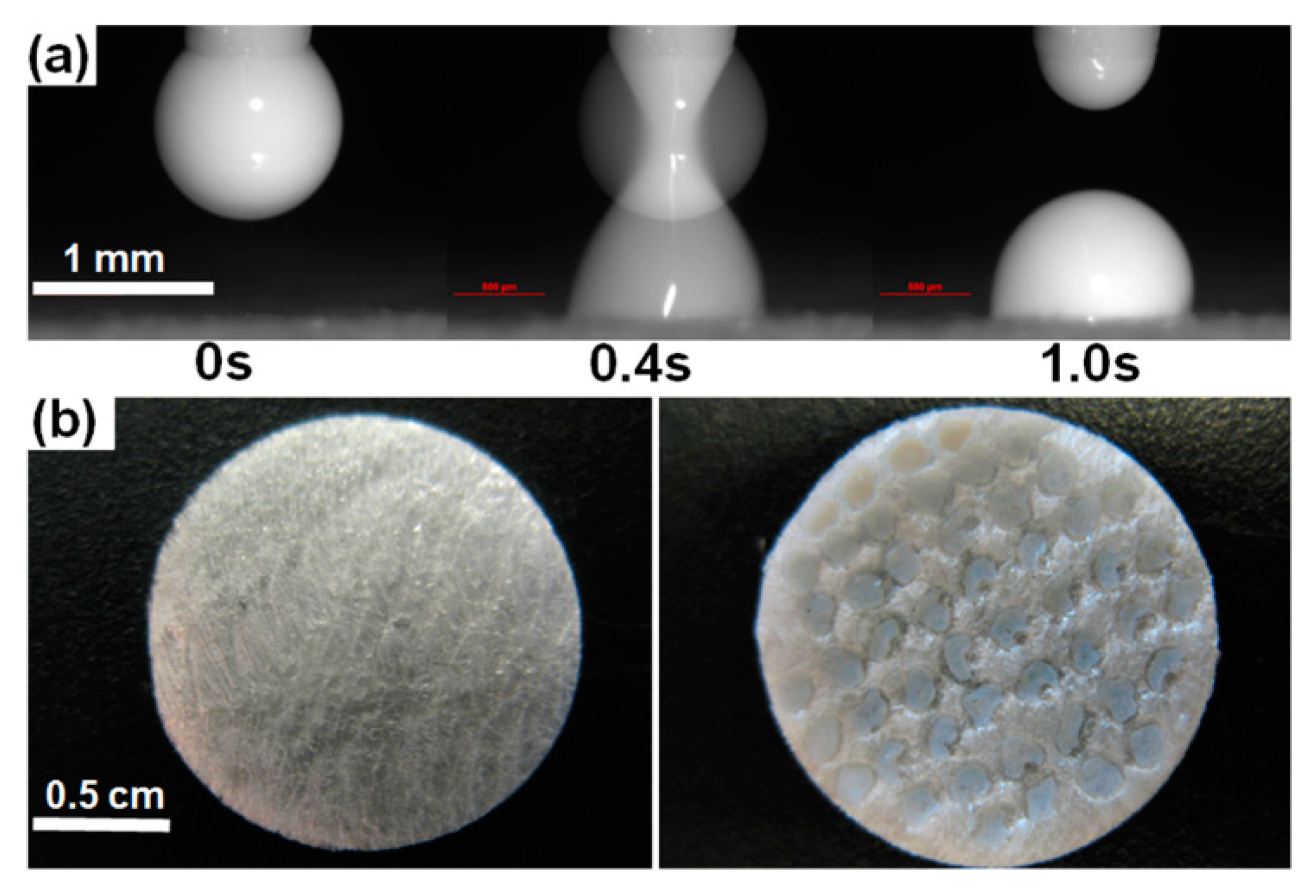 Pharmaceutics 12 01034 g004