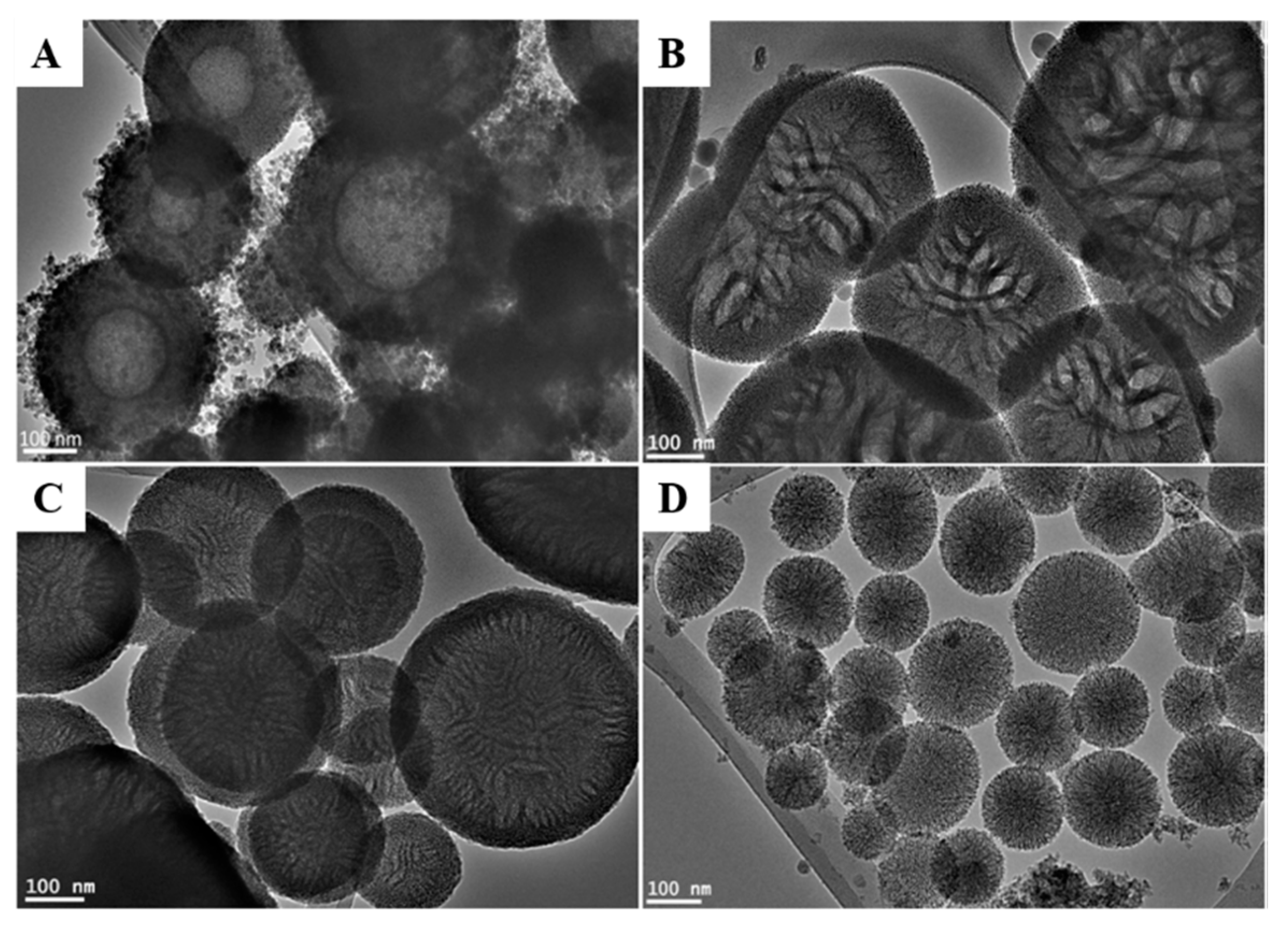 Pharmaceutics 12 01035 g001 Pharmaceutics 12 01035 g001