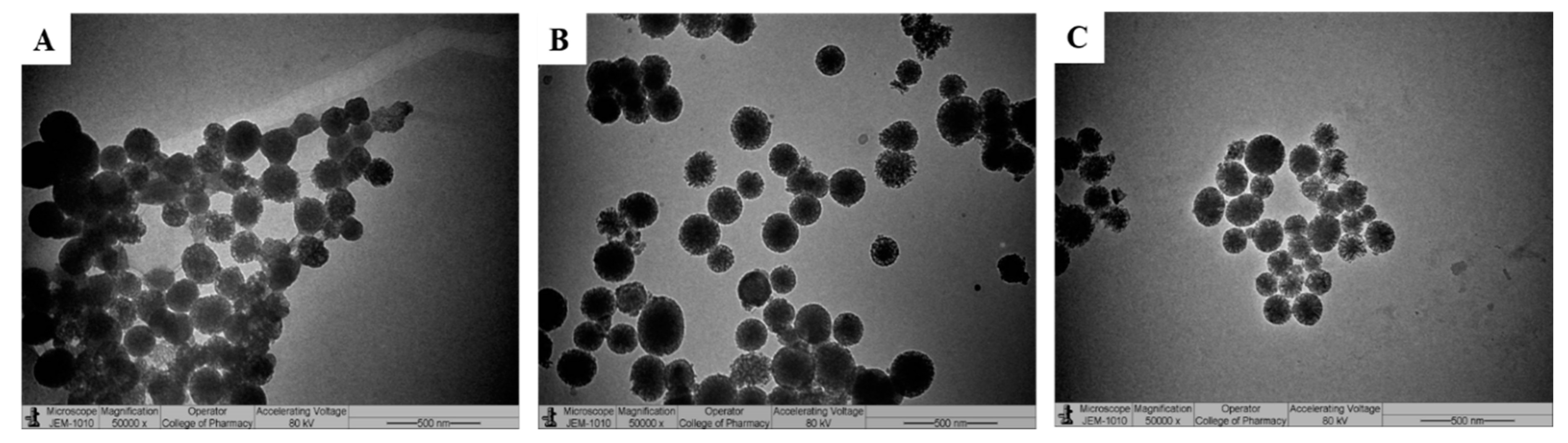 Pharmaceutics 12 01035 g004 Pharmaceutics 12 01035 g004