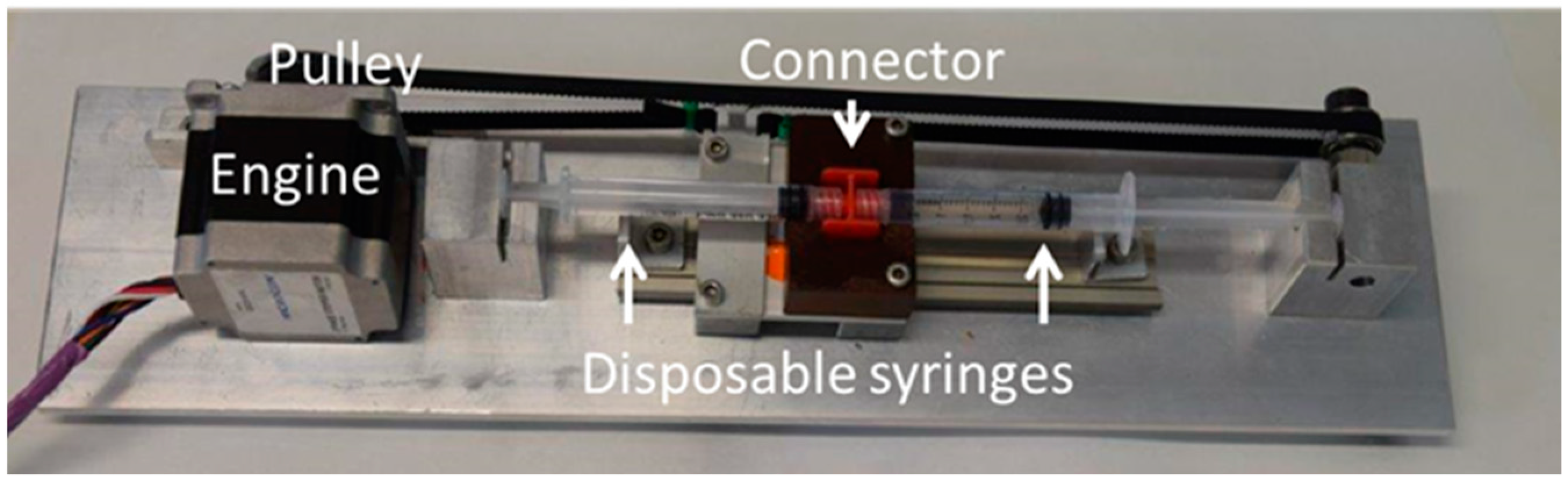 Pharmaceutics 12 01039 g001 Pharmaceutics 12 01039 g001
