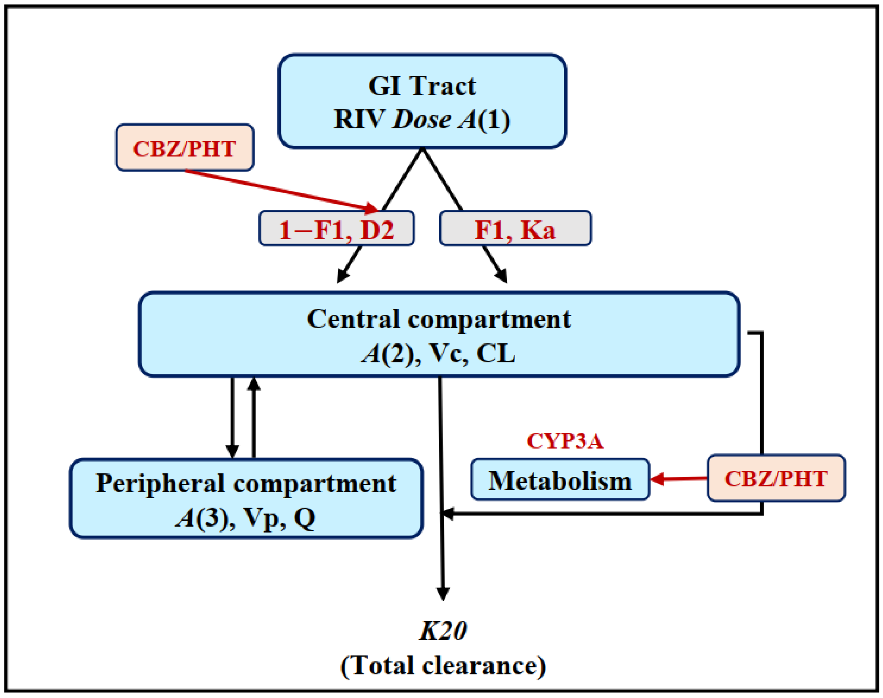 Pharmaceutics Free FullText Effects of Carbamazepine and Phenytoin