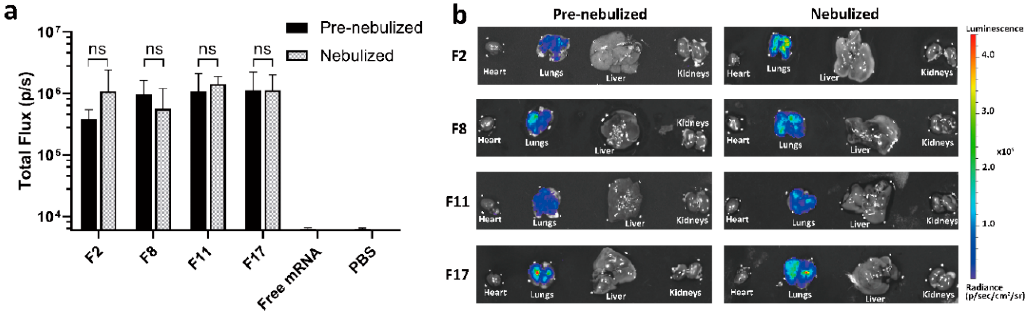 Pharmaceutics 12 01042 g004 Pharmaceutics 12 01042 g004