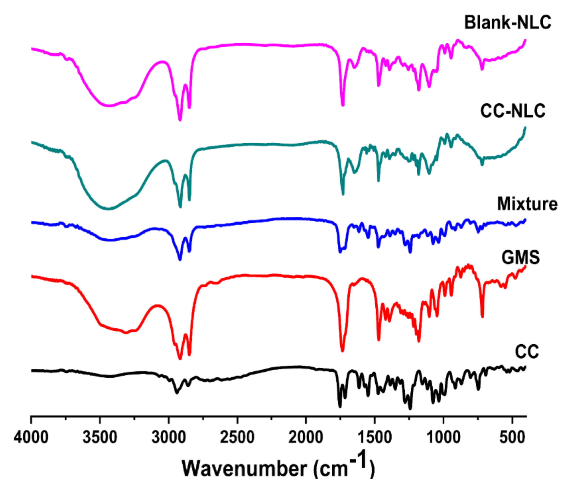 Pharmaceutics 12 01047 g002
