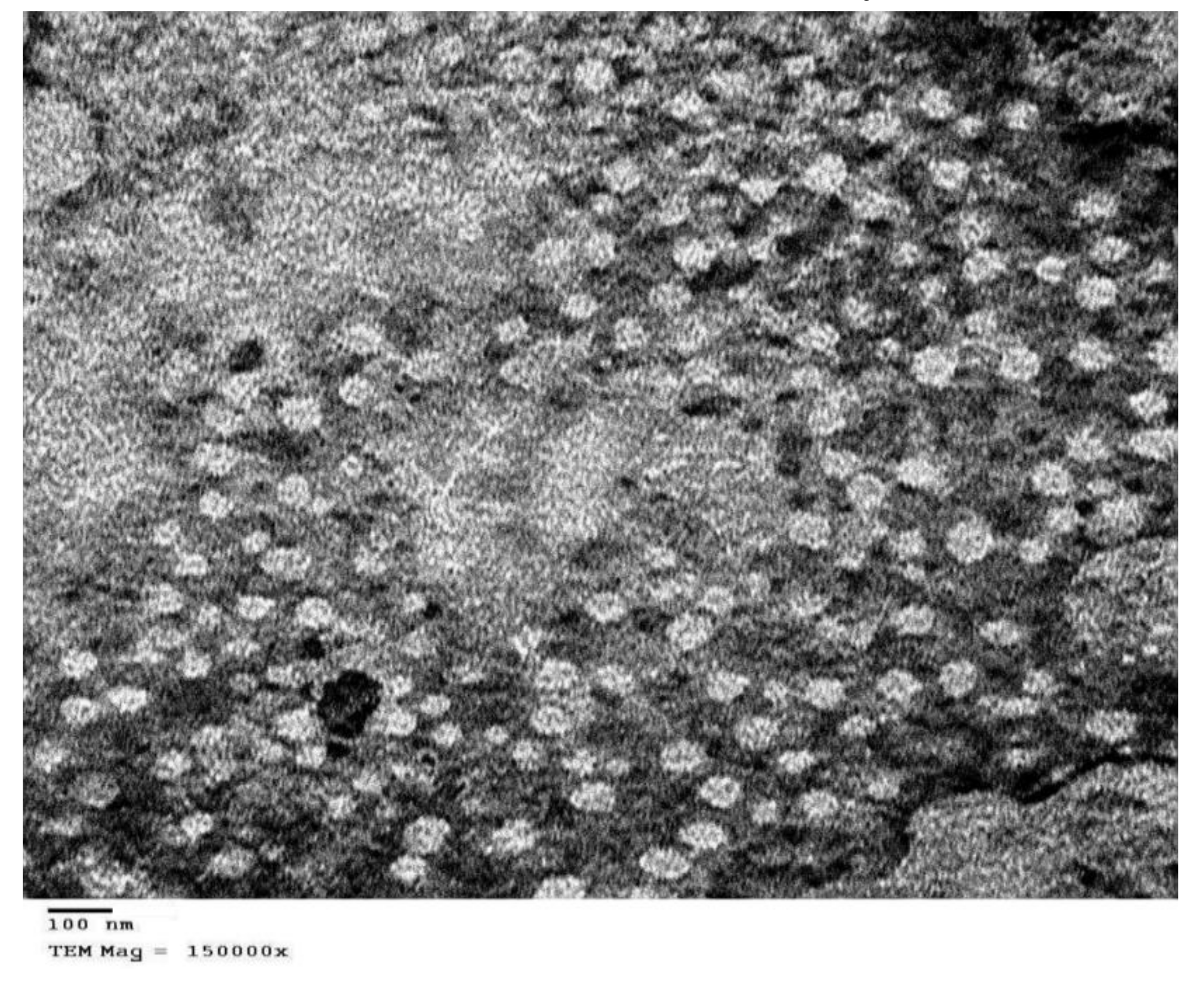 Pharmaceutics 12 01047 g003